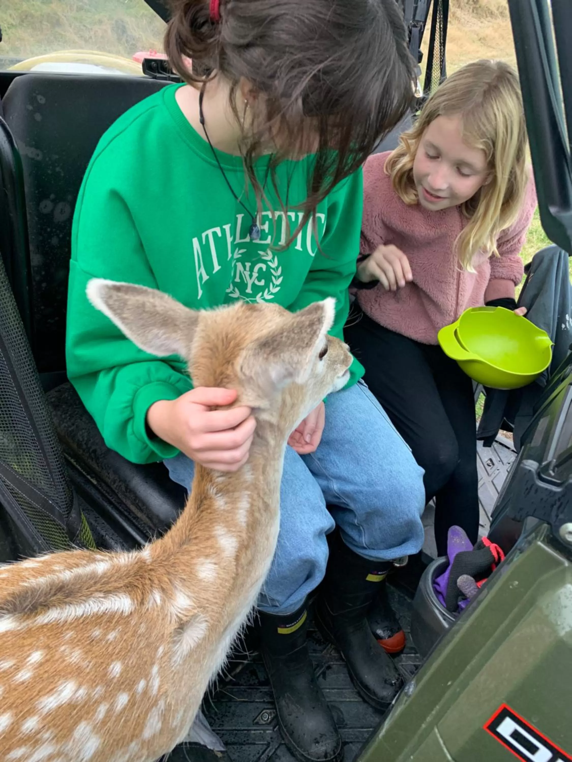 Pets in Hilltop Whakaipo Estate