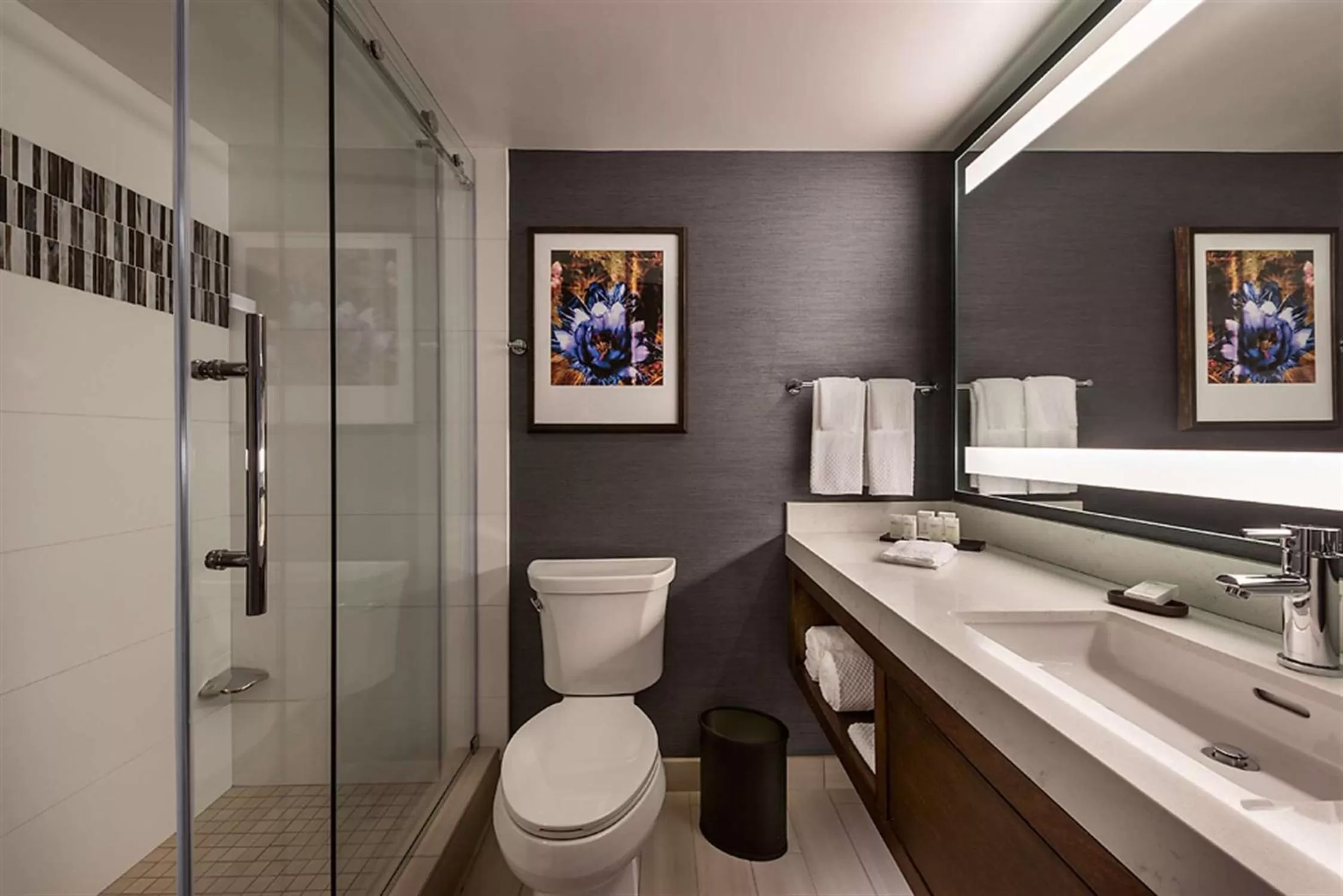 Bathroom in Embassy Suites by Hilton Scottsdale Resort