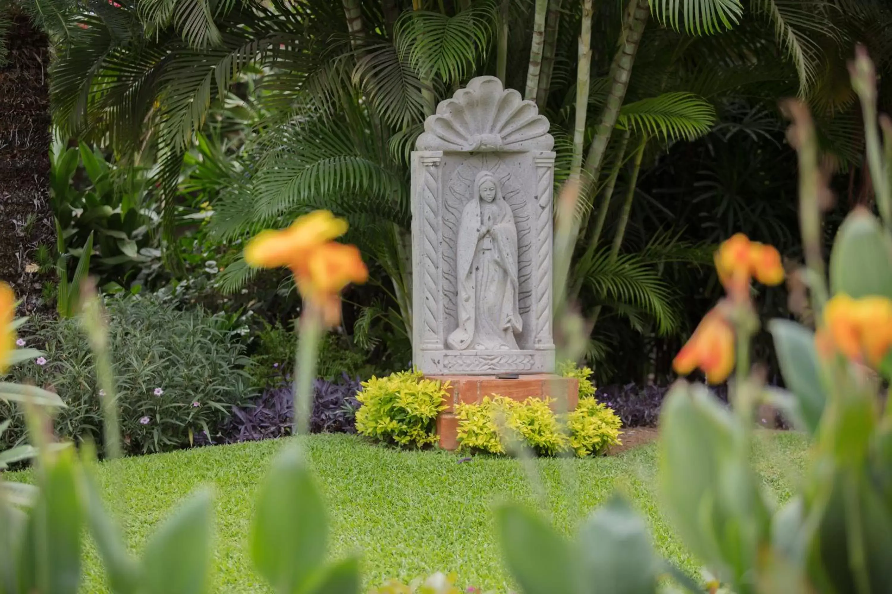 Garden in Flamingo Vallarta Hotel & Marina