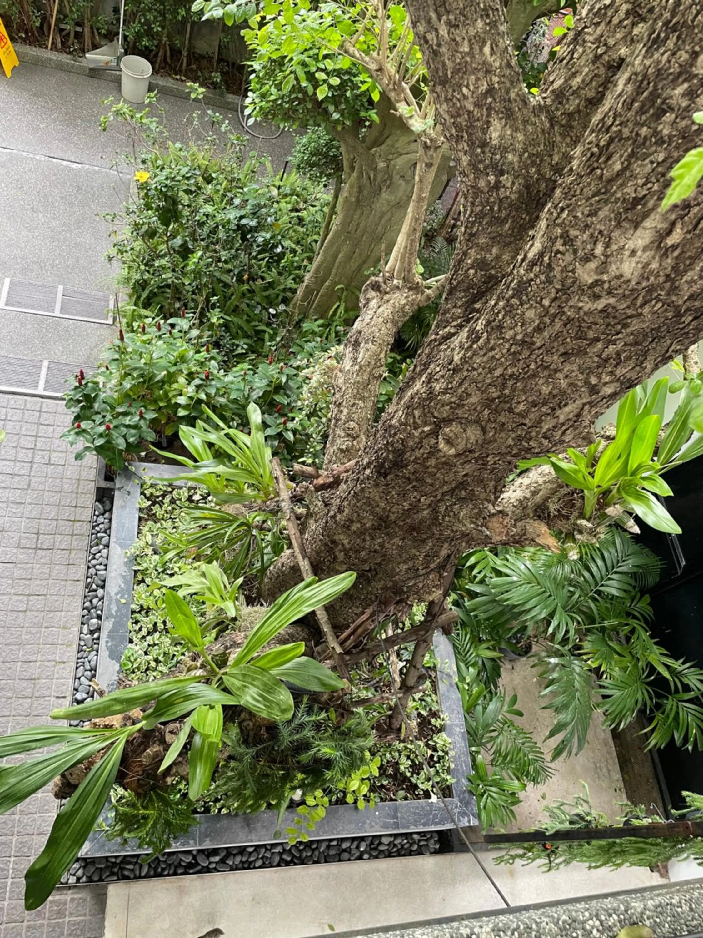 Property building in Tonaoi Grand Hotel