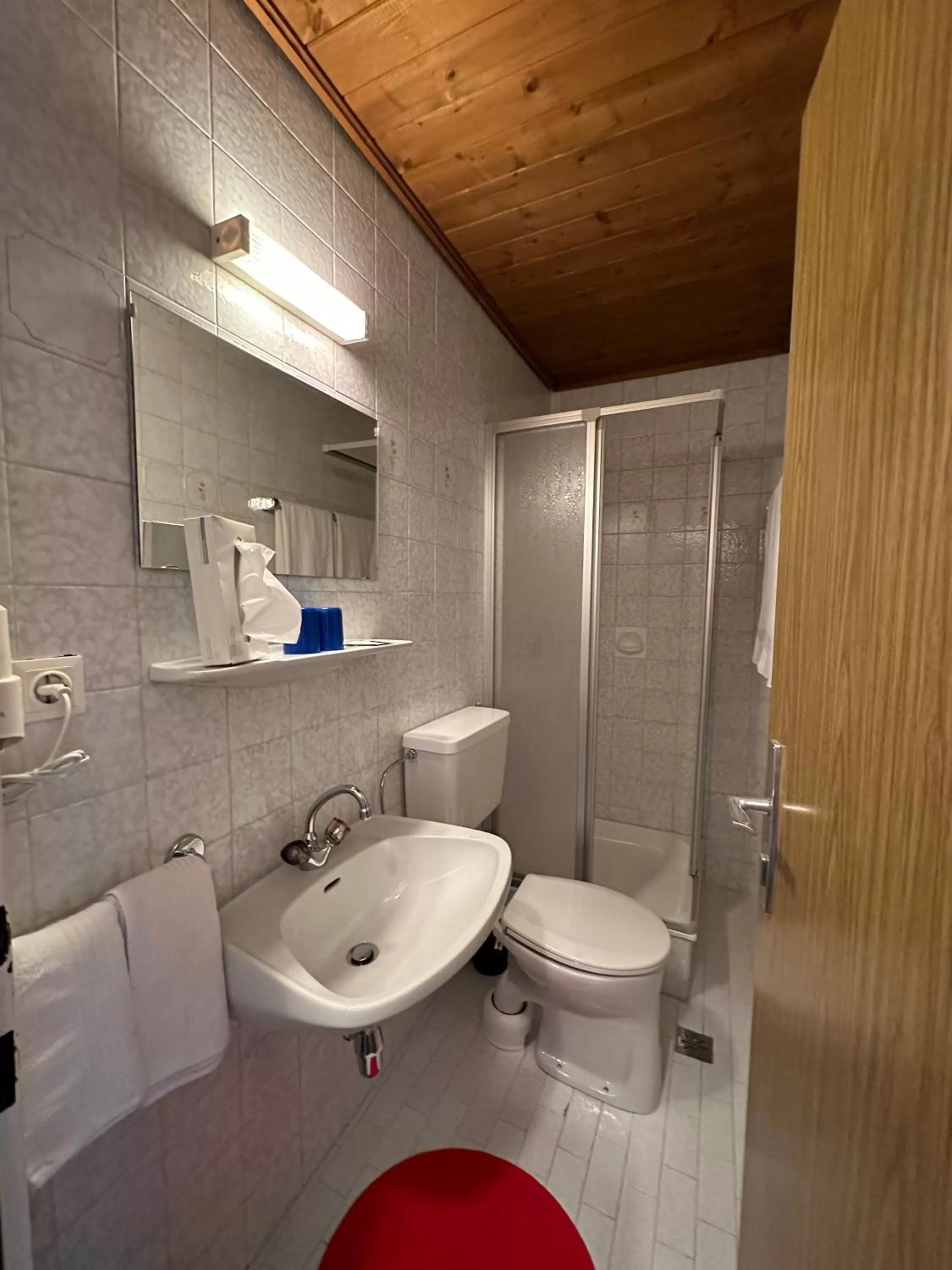 Shower in Pension Dorferwirt