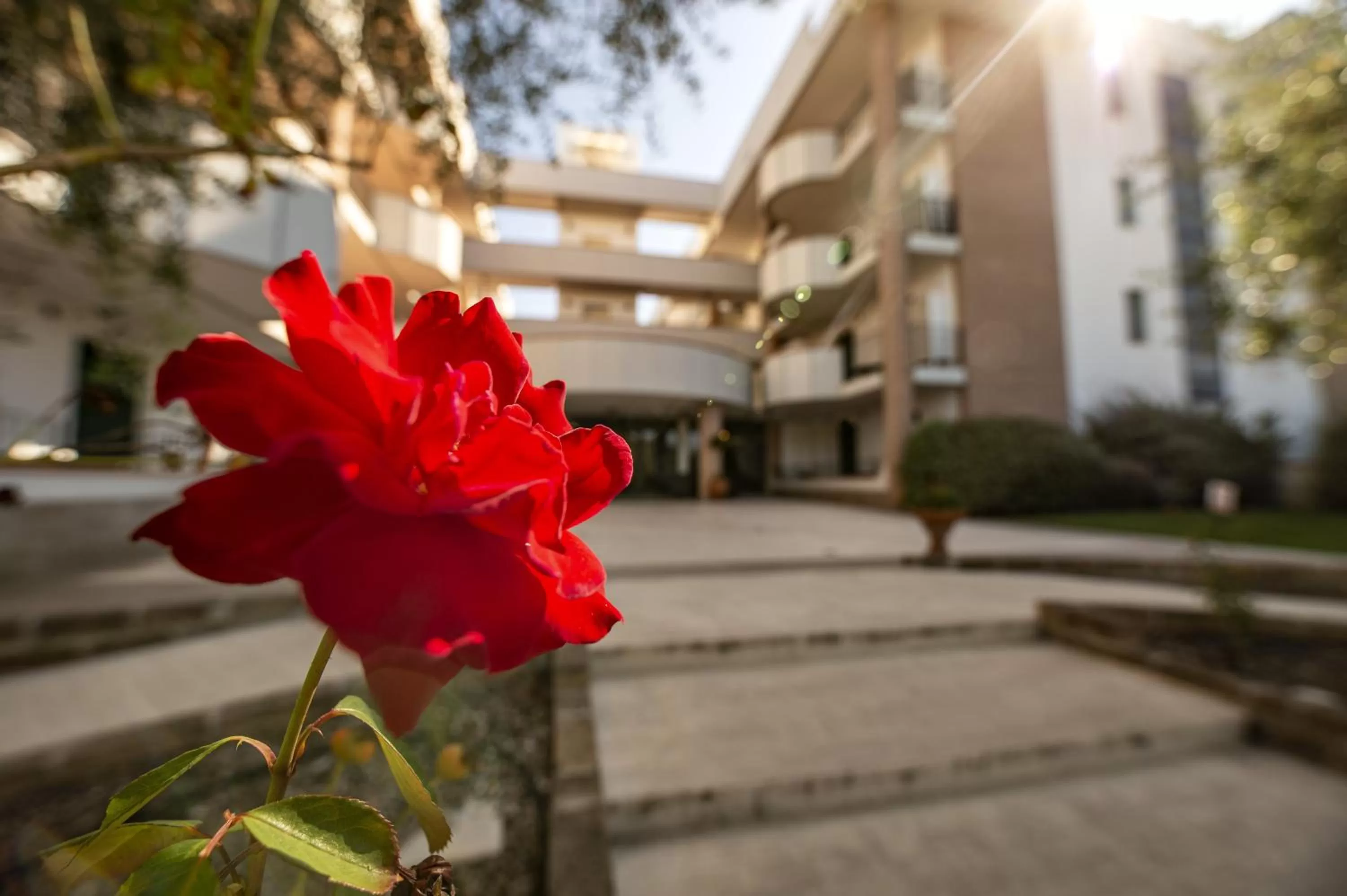 Property building in Le Residenze di Santa Costanza - Mirto/Corbezzolo