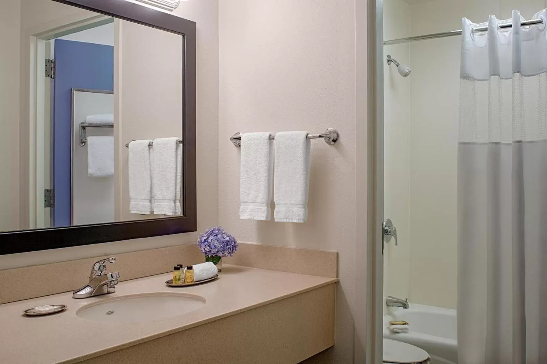 Bathroom in Federal City Inn & Suites