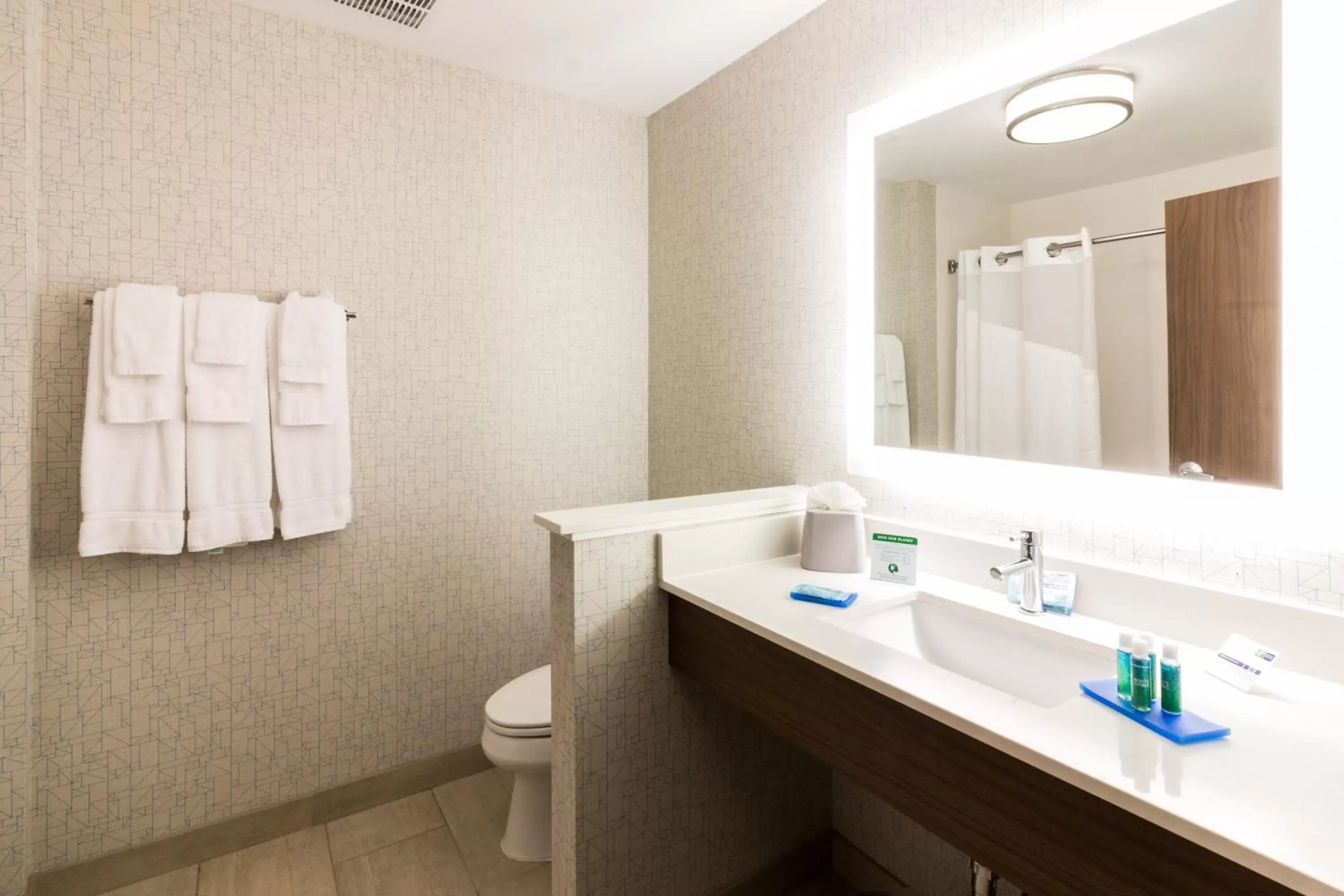 Bathroom in Holiday Inn Express - Villa Rica, an IHG Hotel