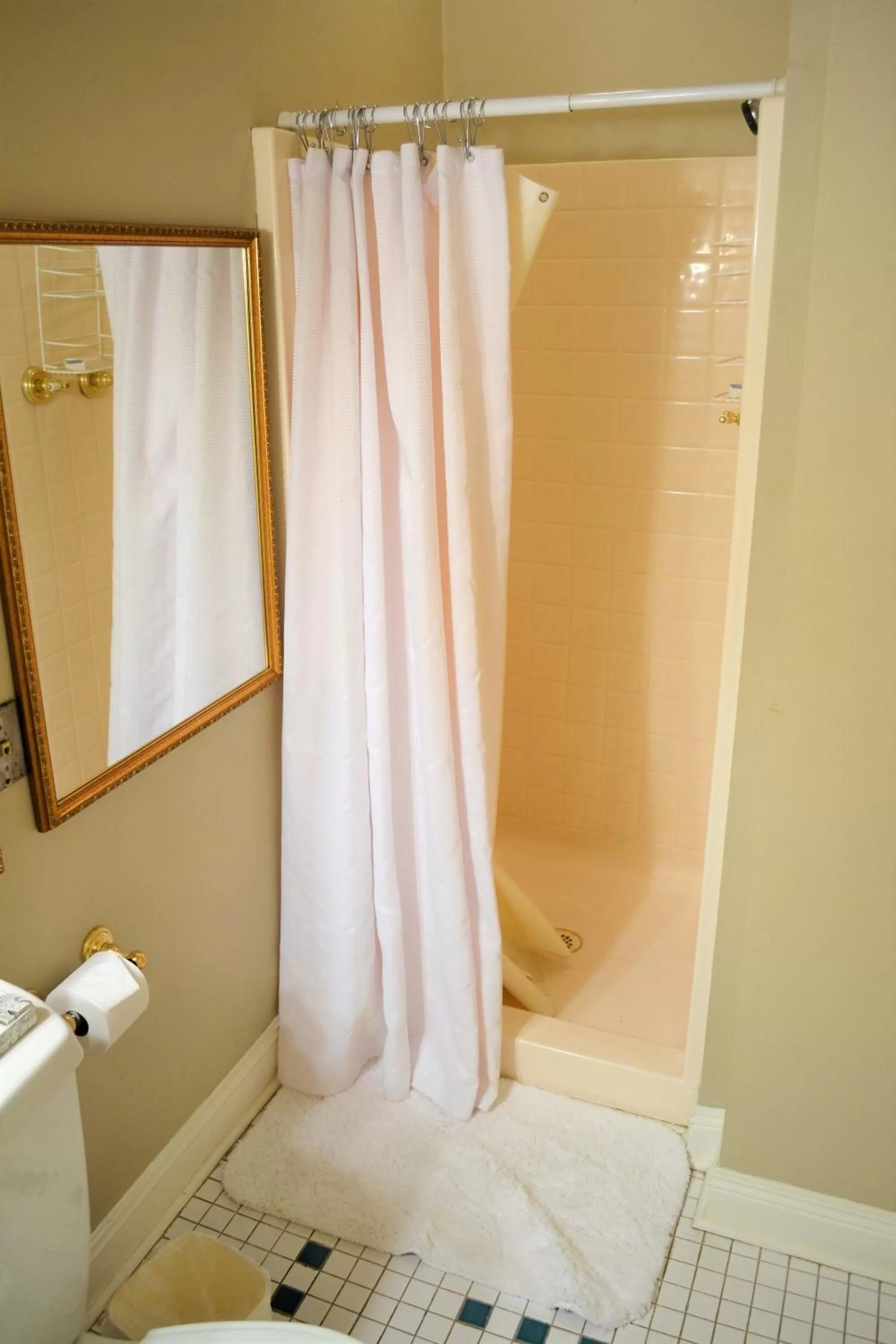 Shower, Bathroom in Edgar Degas House Historic Home and Museum
