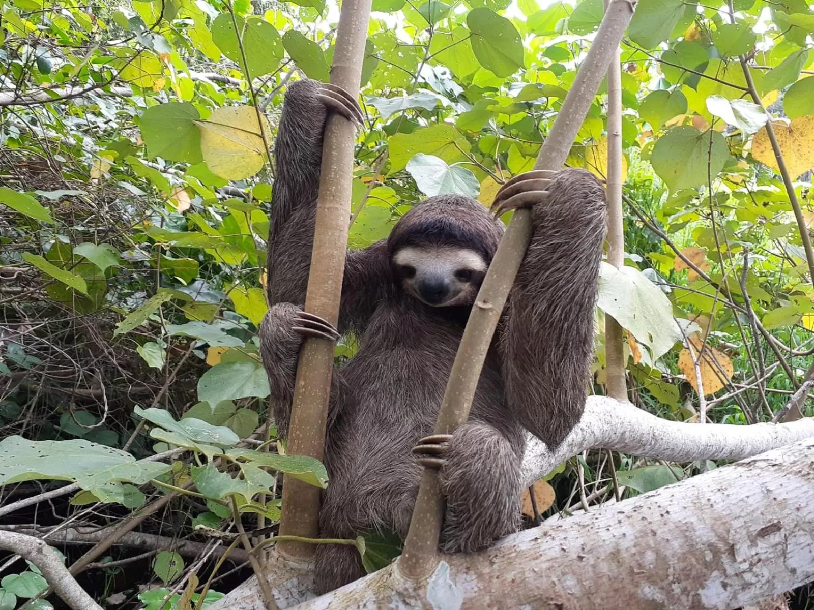 Natural landscape in Bird Island Bungalows