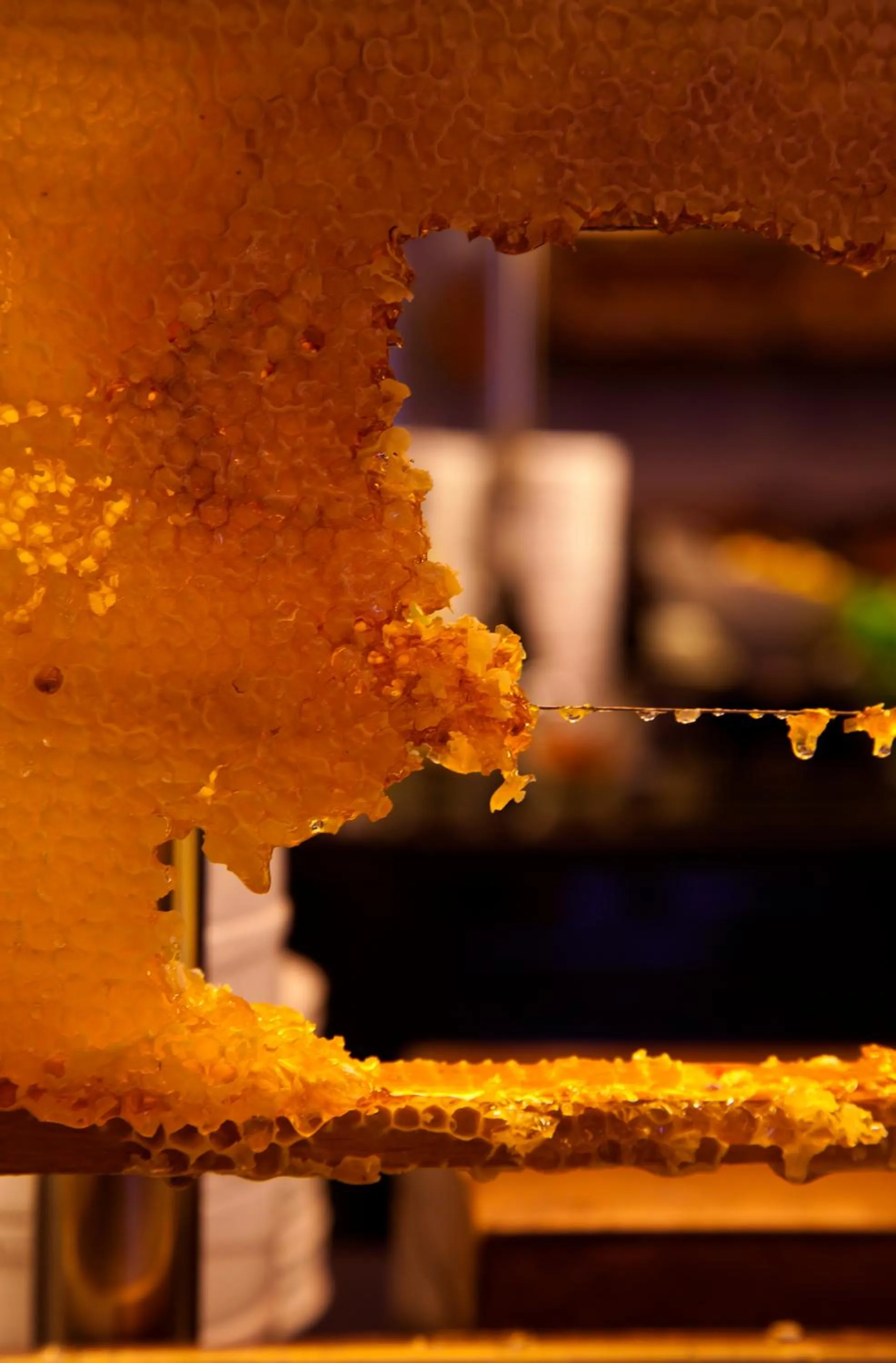 Food and drinks in Limak Ambassadore Hotel Ankara