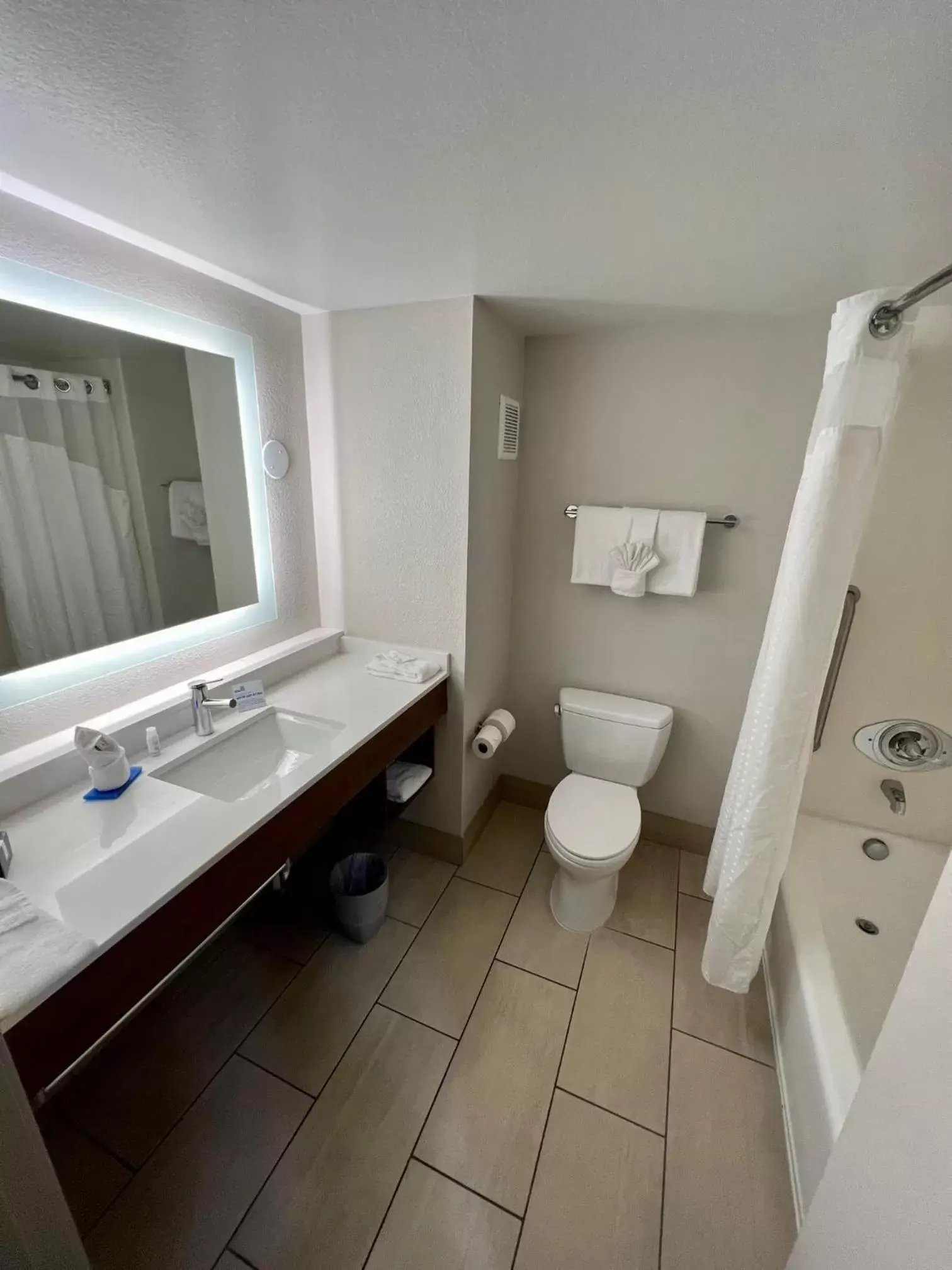 Bathroom in Holiday Inn Express Hotel & Suites Lake Elsinore by IHG Bathroom in Holiday Inn Express Hotel & Suites Lake Elsinore by IHG