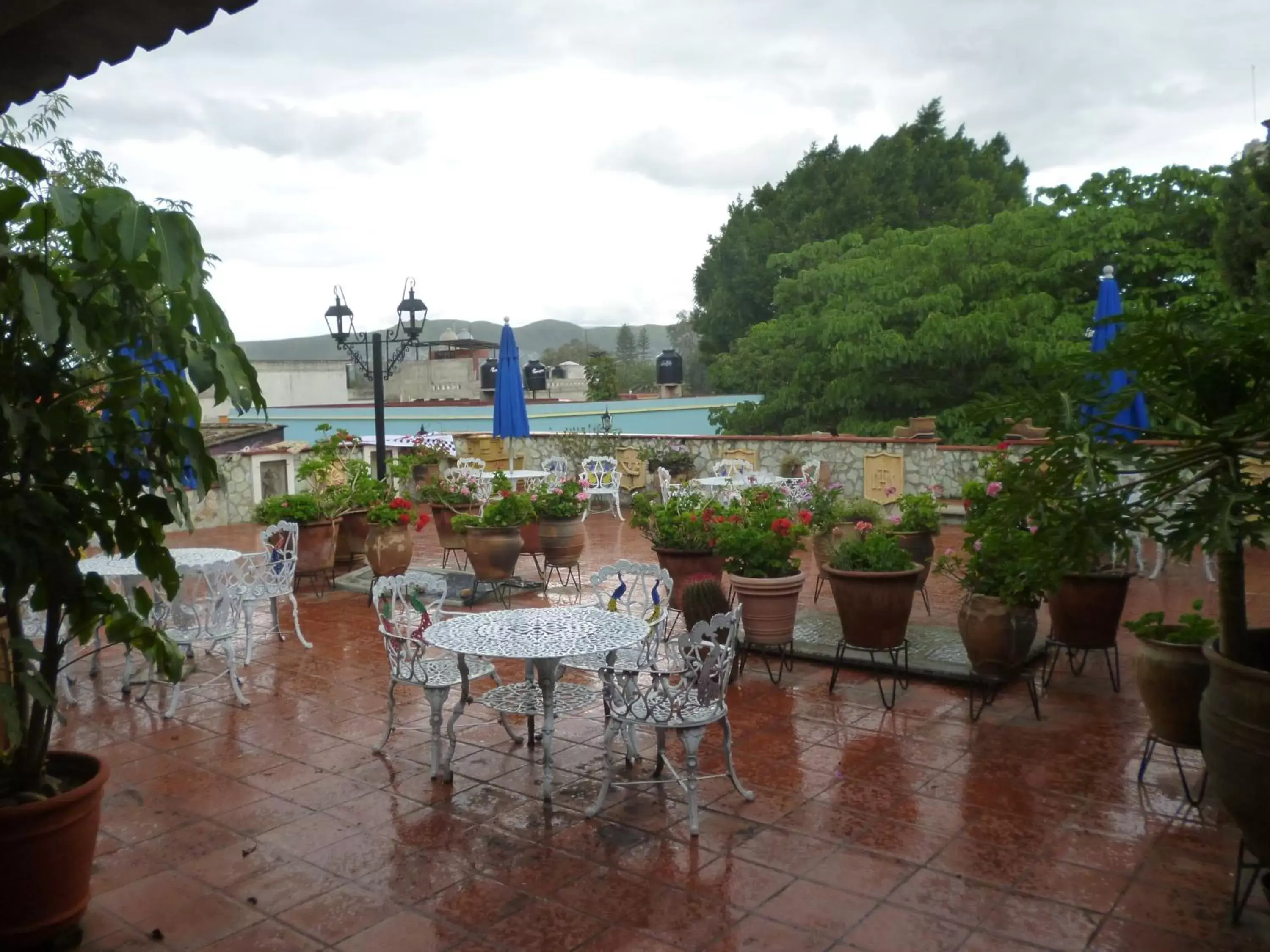 Balcony/Terrace in Hotel Casa Arnel