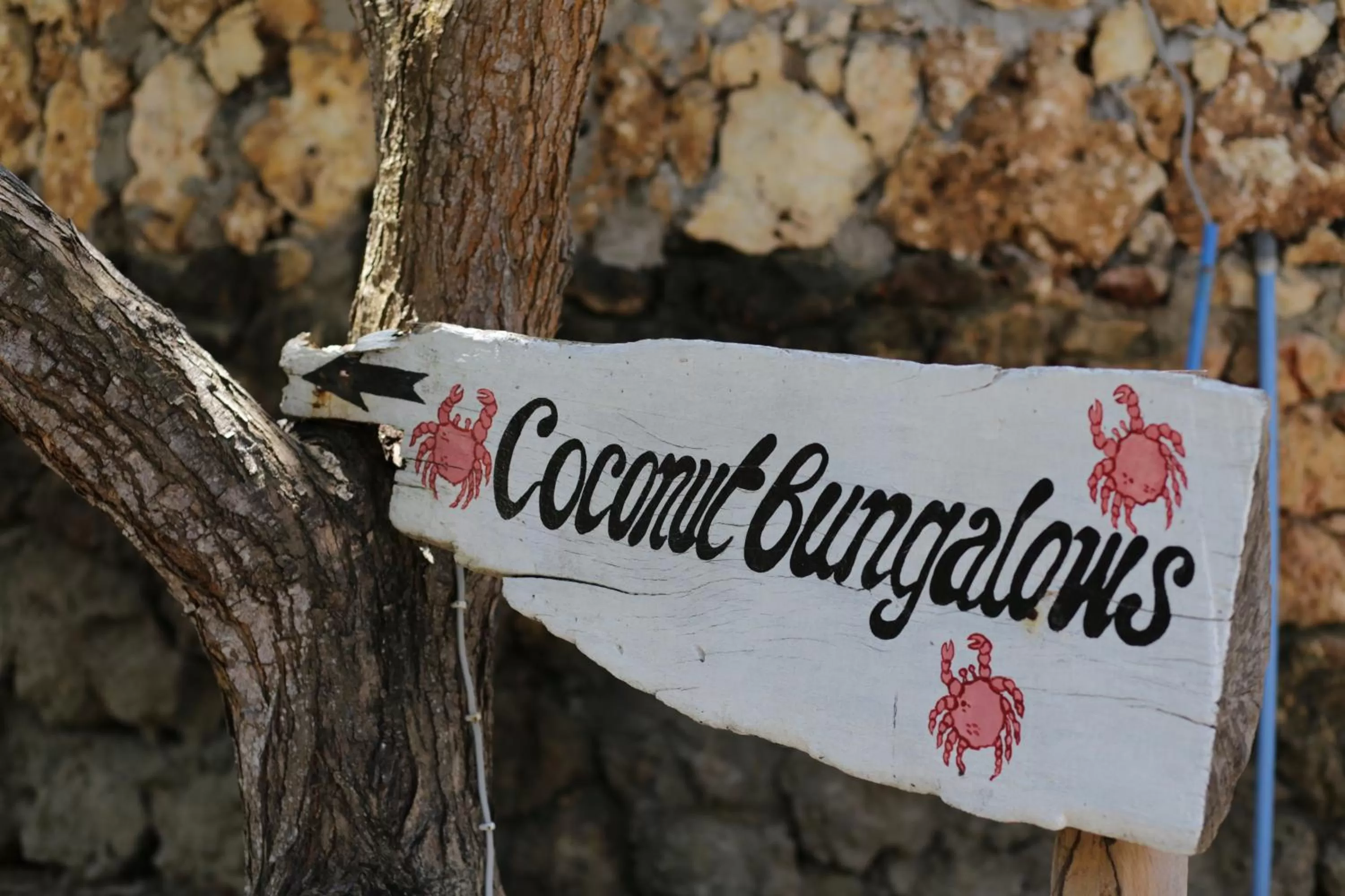 Property Logo/Sign in The Beach Crab Resort