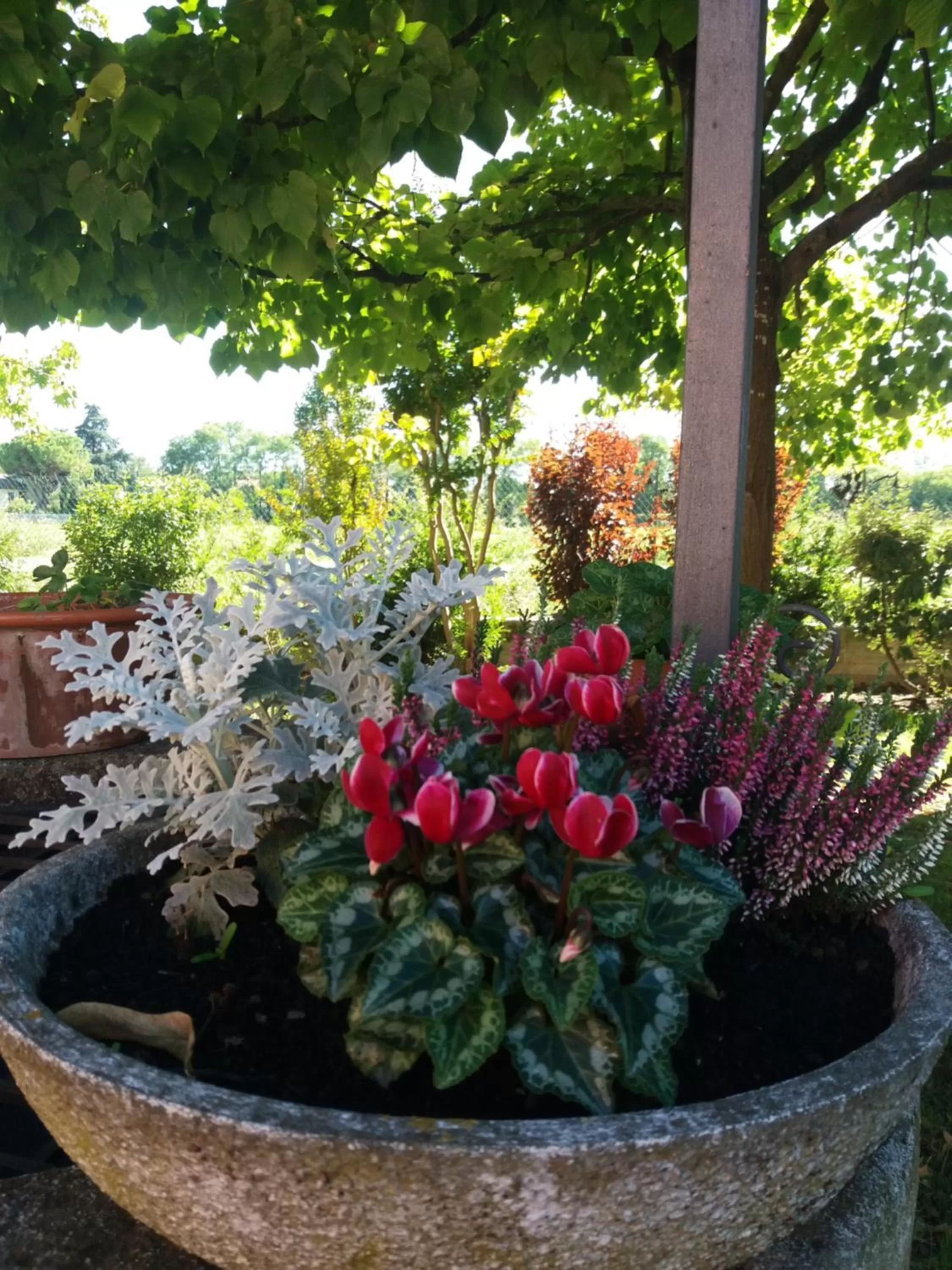 Garden in R&B un mondo a colori