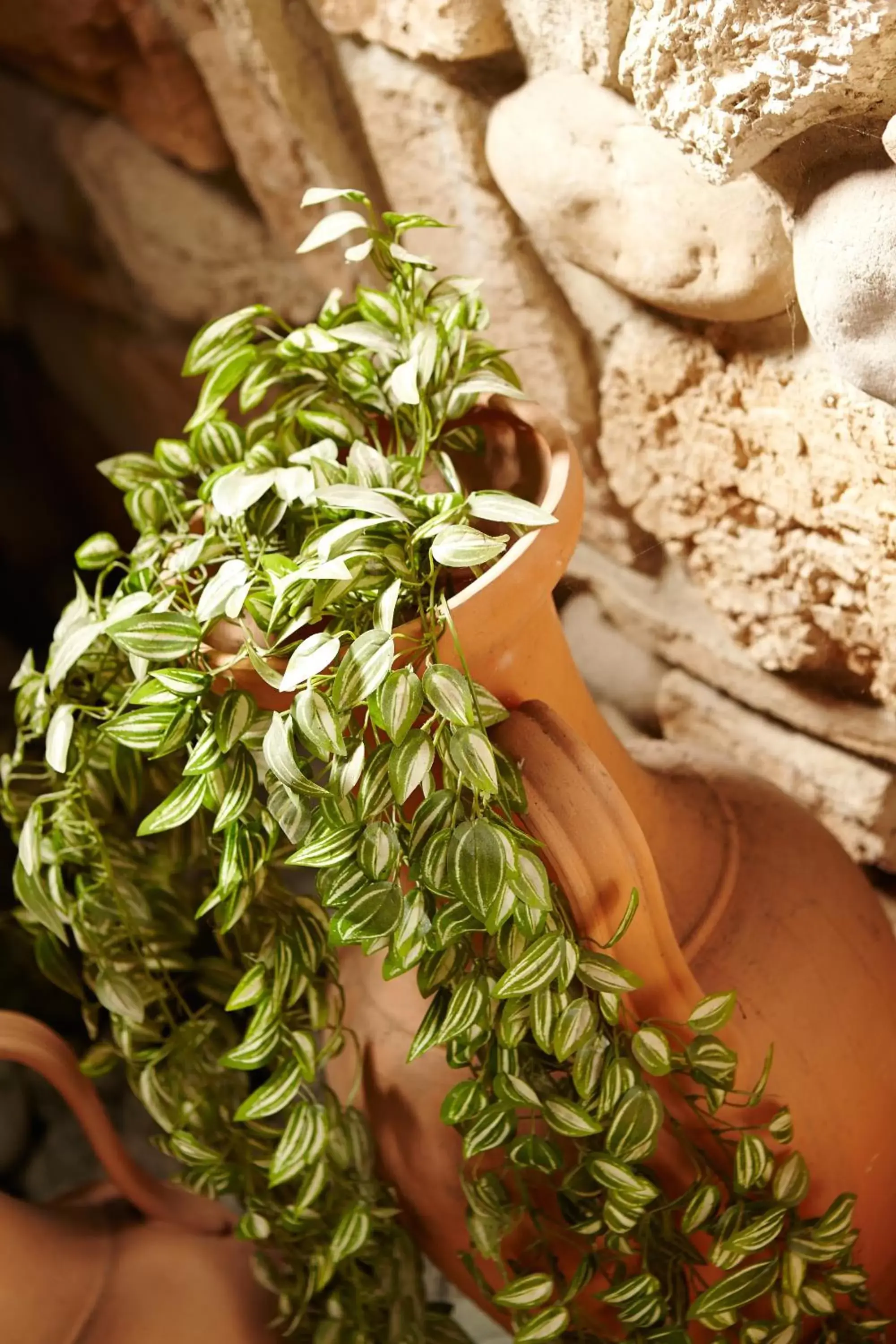 Single Room in Primhotel Single Room in Primhotel