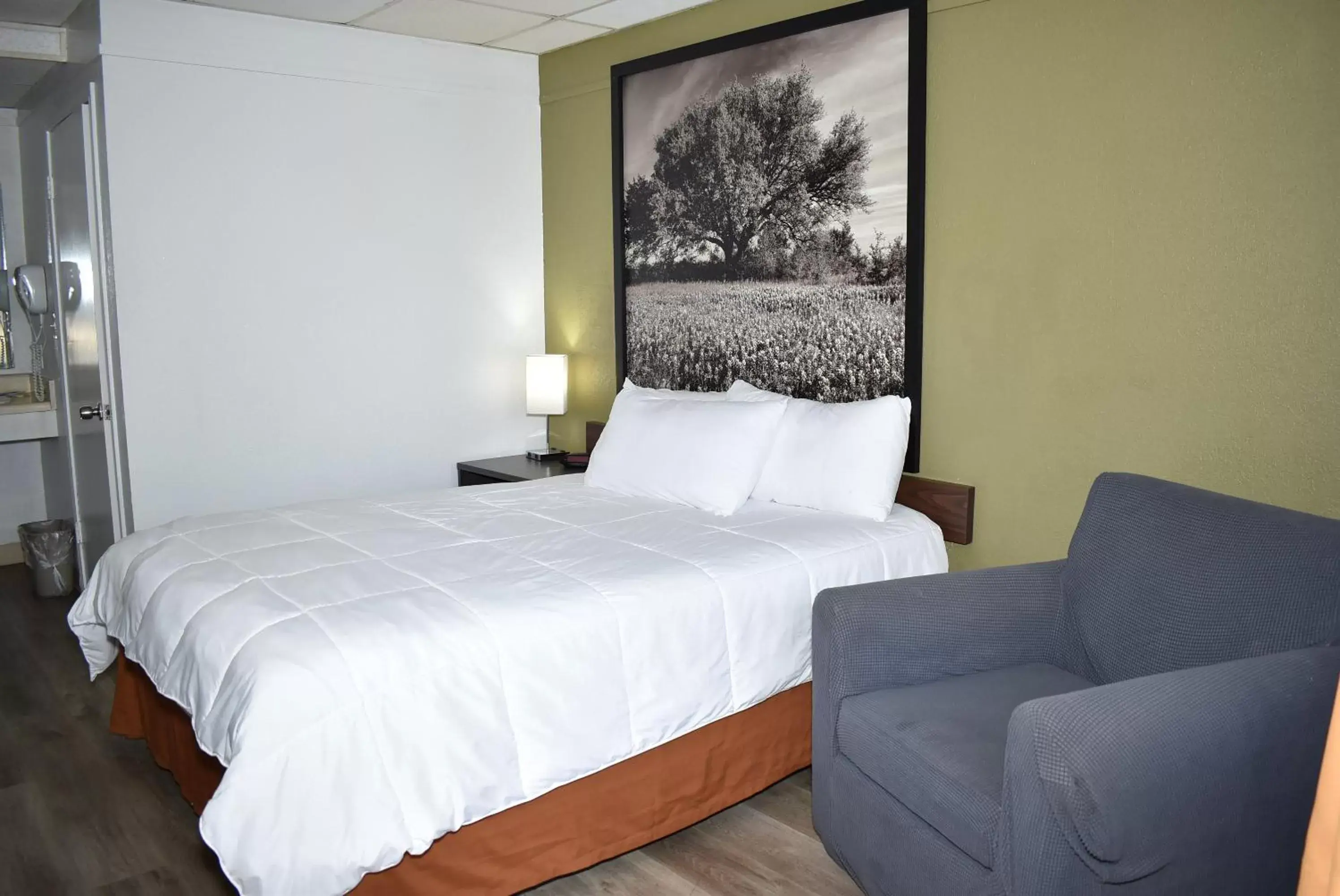 Bed in Super 8 by Wyndham Fredericksburg