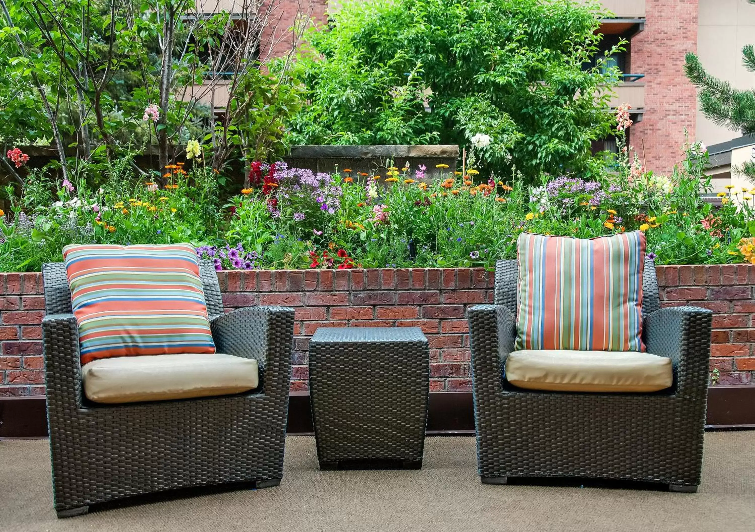 Day, Seating Area in Aspen Square Condominium Hotel