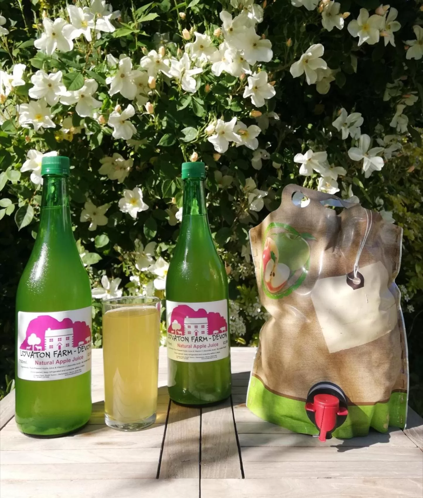 Non alcoholic drinks in Lovaton Farmhouse