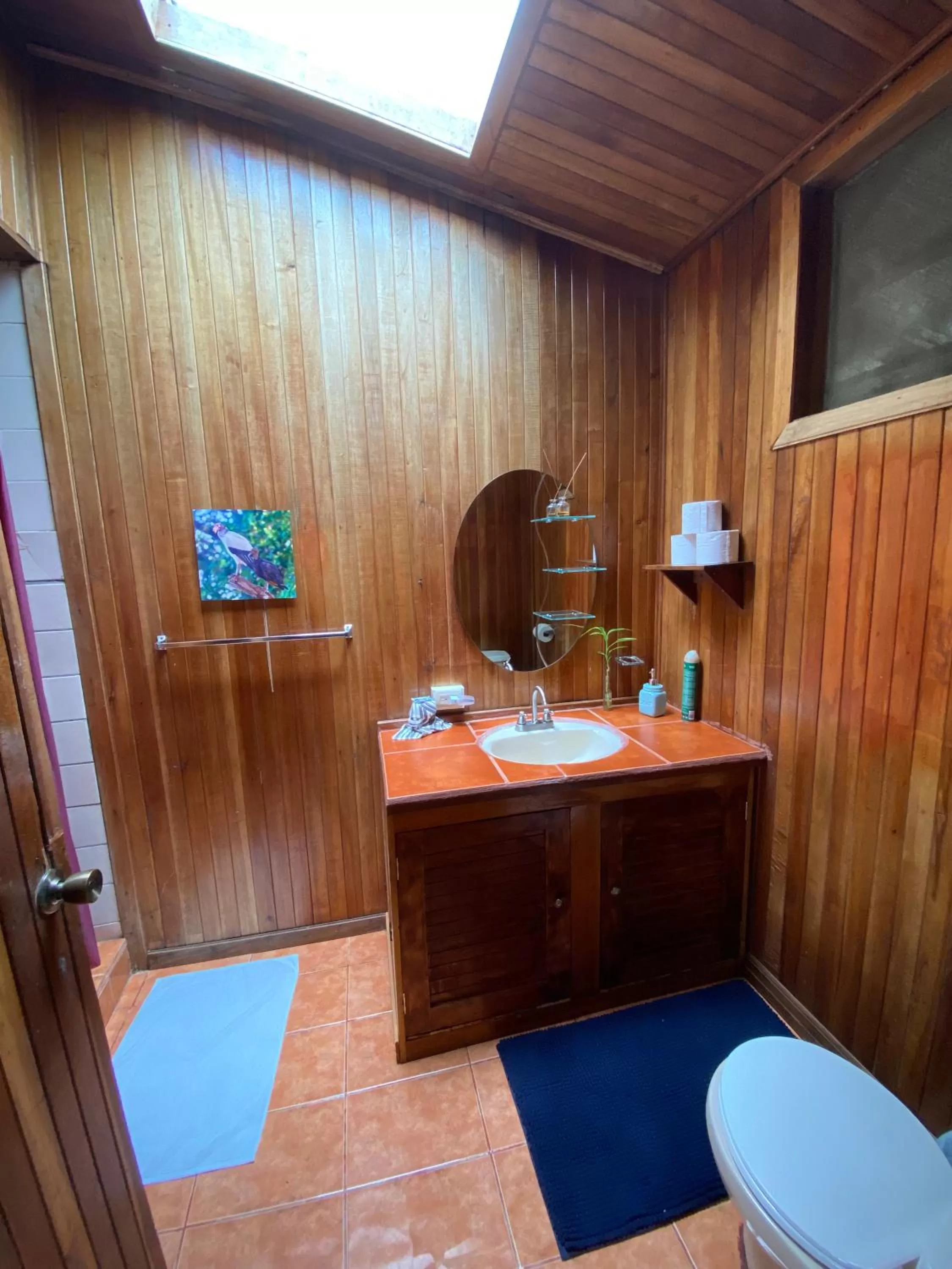 Birds & Breakfast Costa Rica