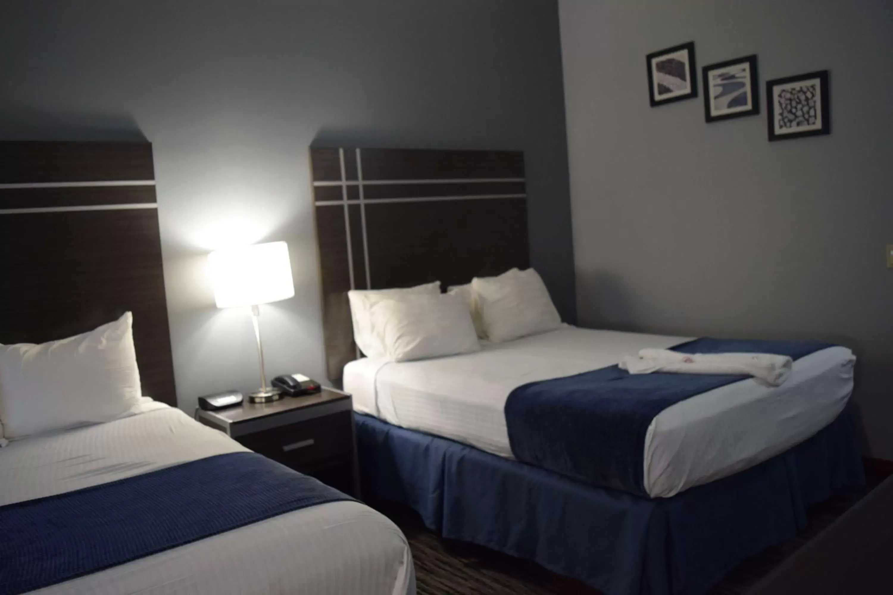 Photo of the whole room, Bed in Best Western Elkhart Inn & Suites