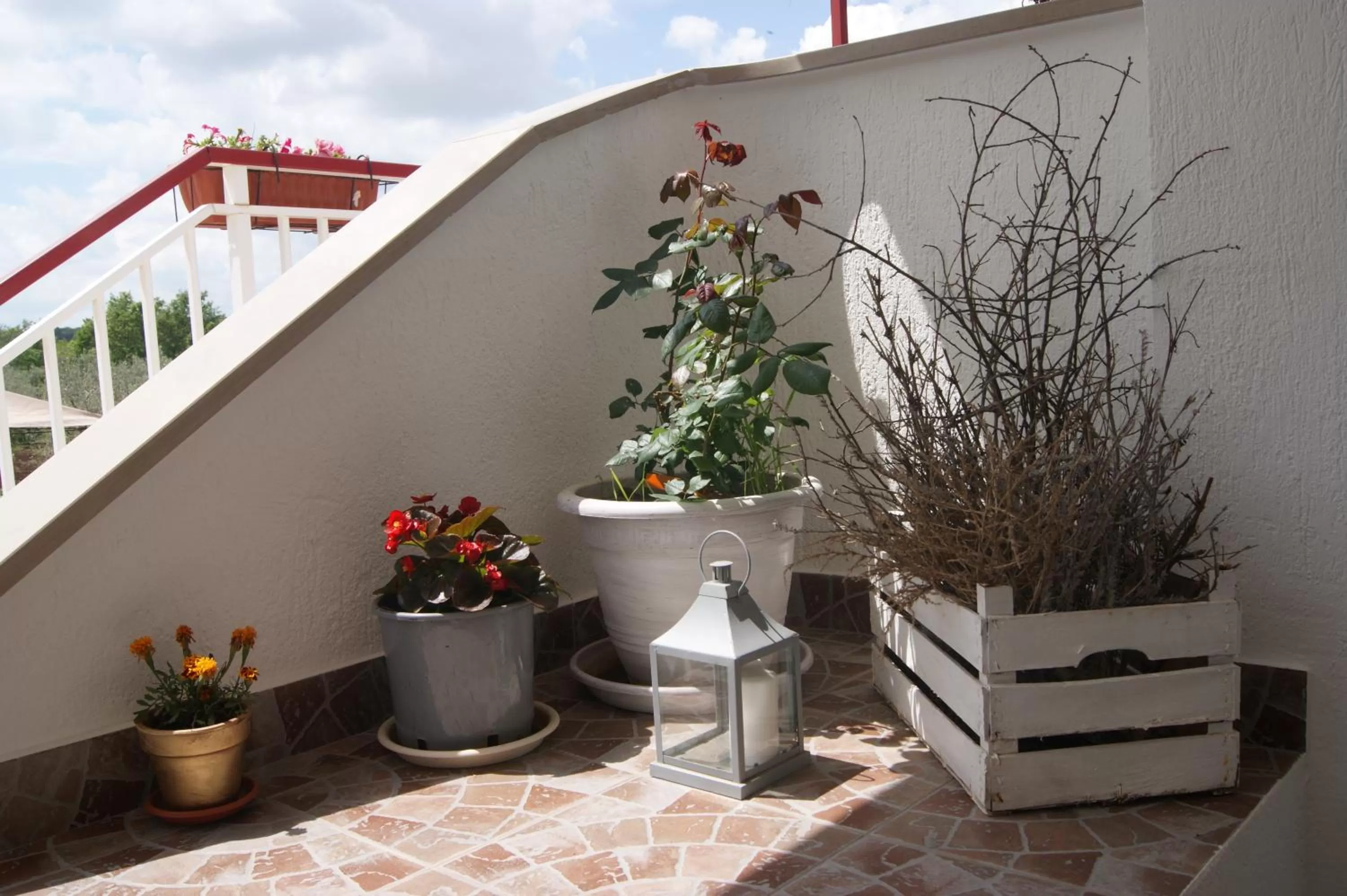 Property building in Arome B&B