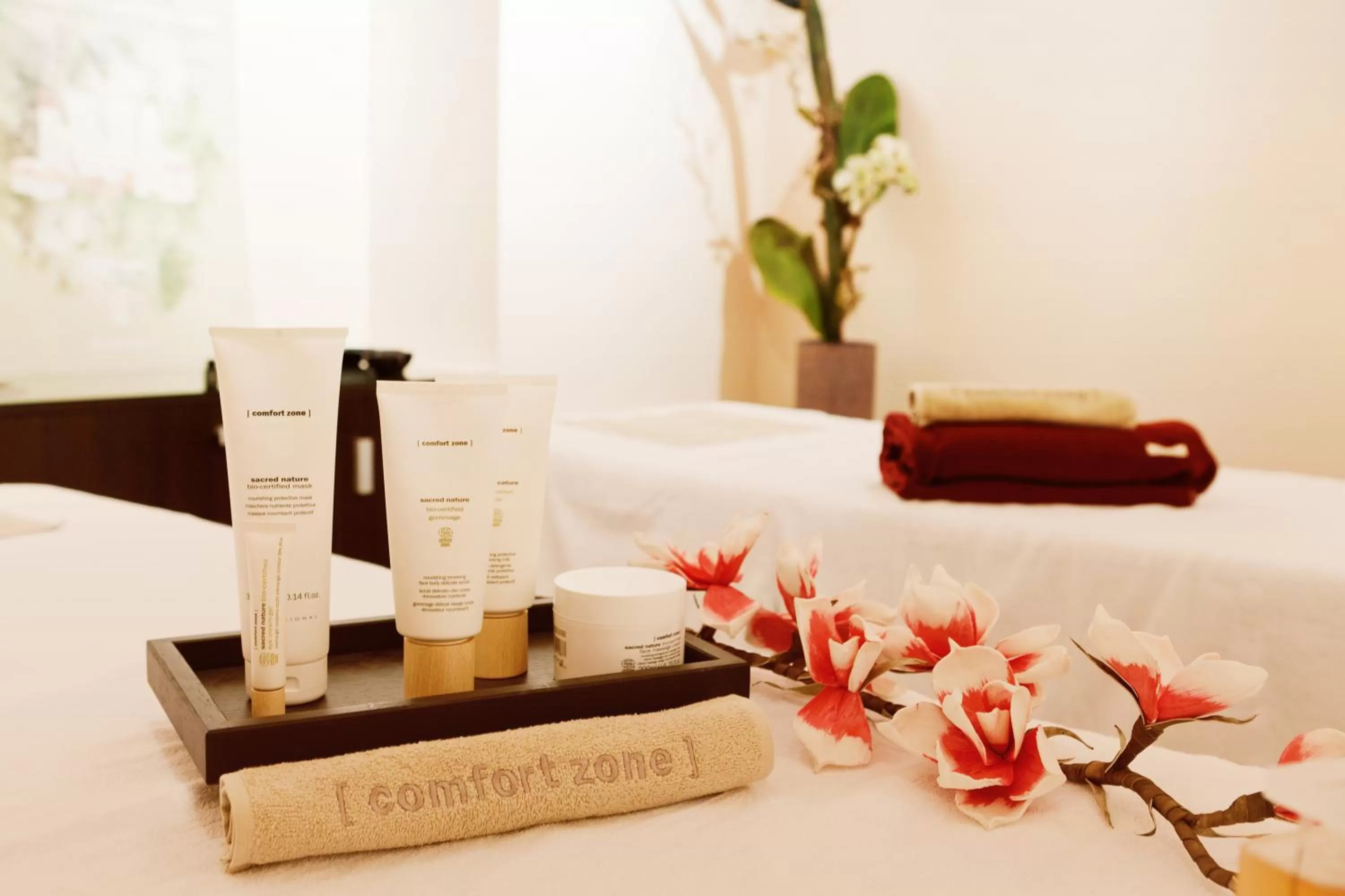 Massage, Bed in Hotel Internazionale Bellinzona