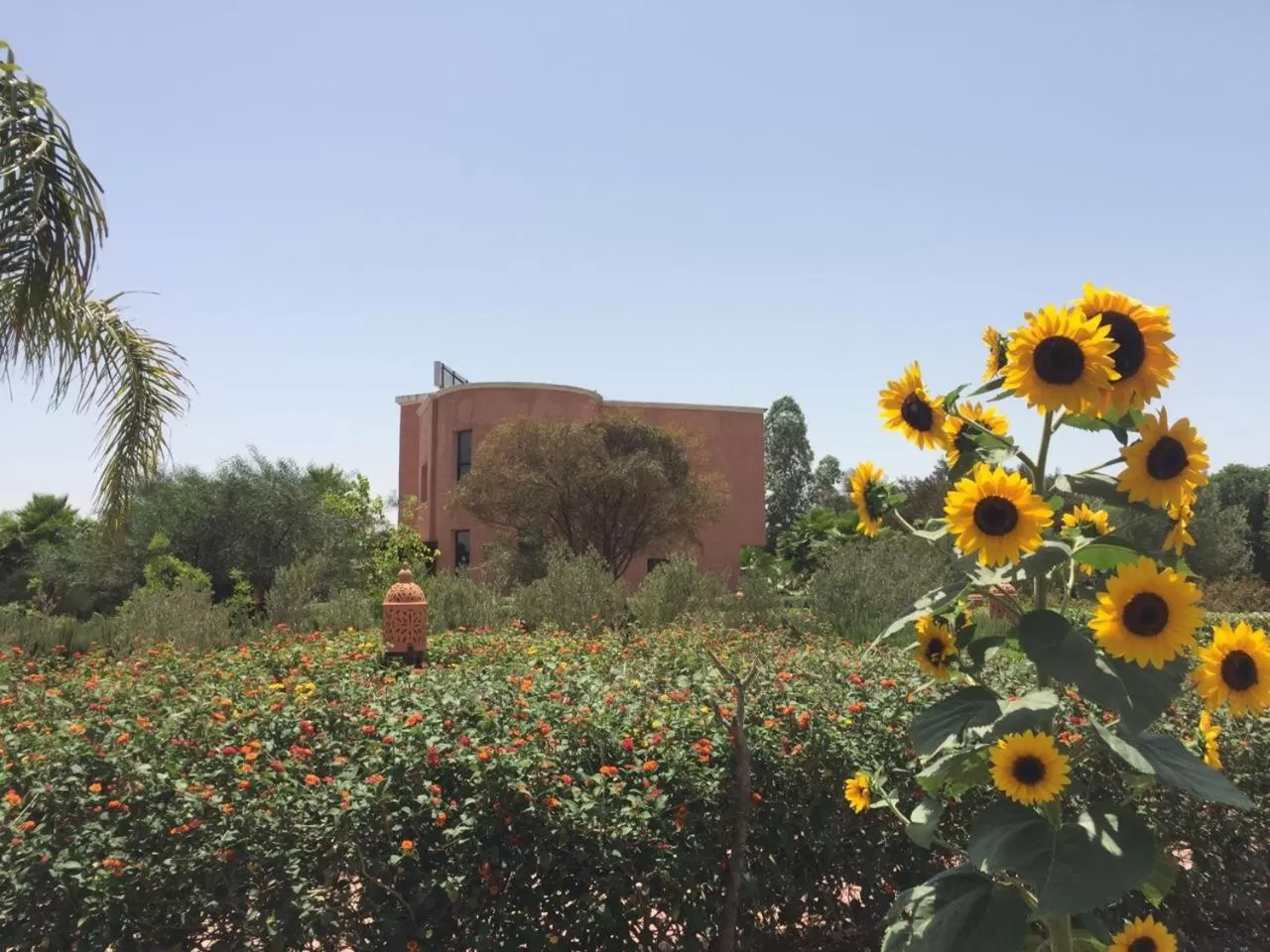 View (from property/room) in Riad Hamdani