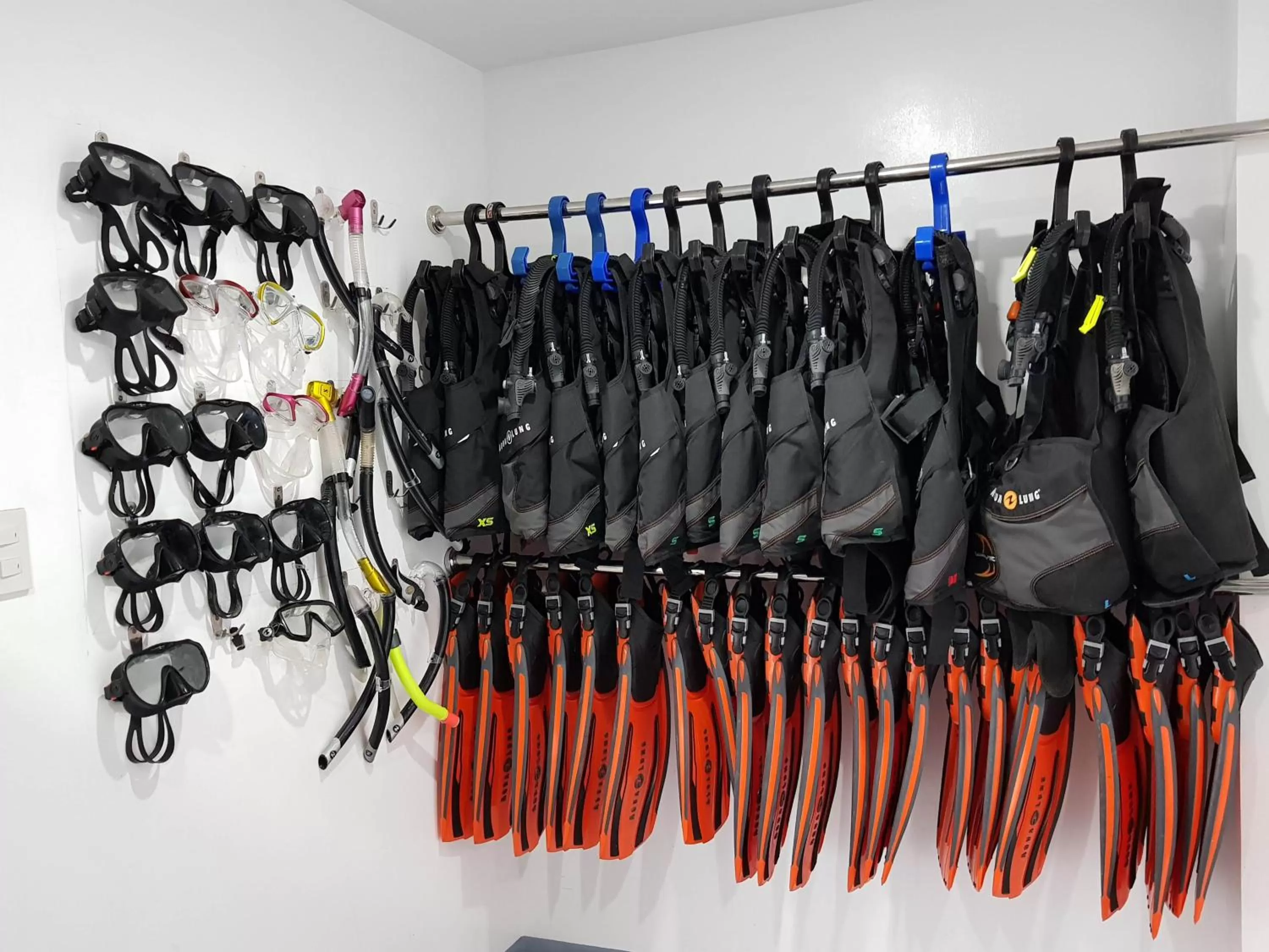 Diving in Blue Ribbon Dive Resort