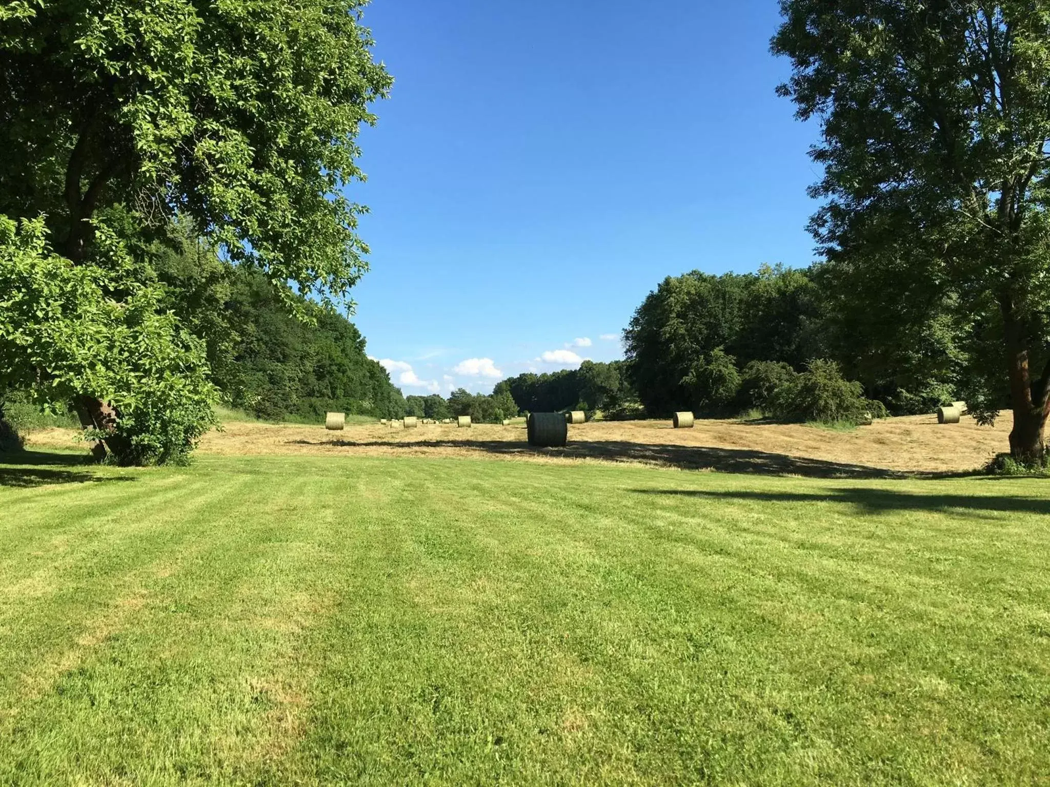 Garden in Hotel in der Mühle