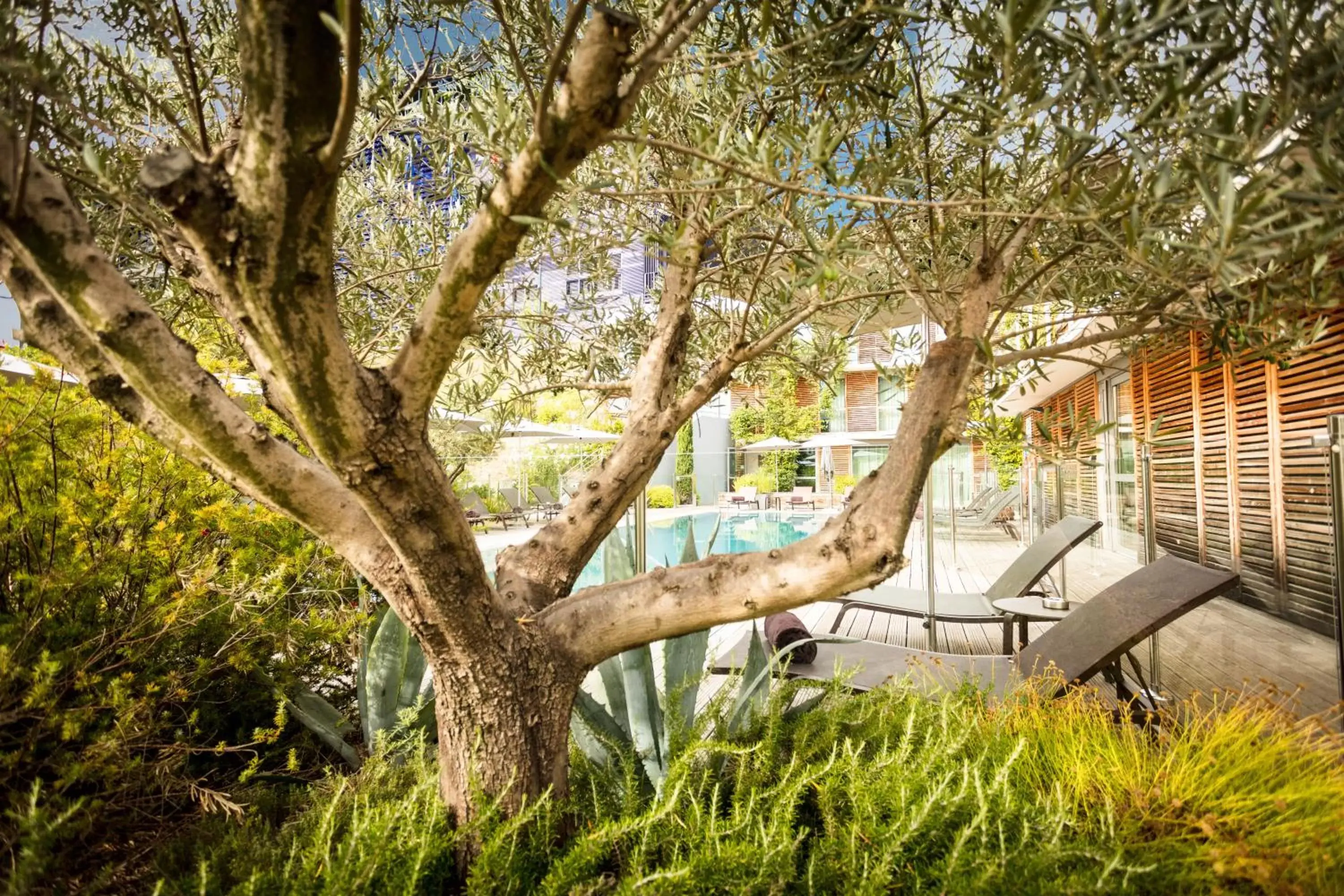 Pool view in Courtyard by Marriott Montpellier