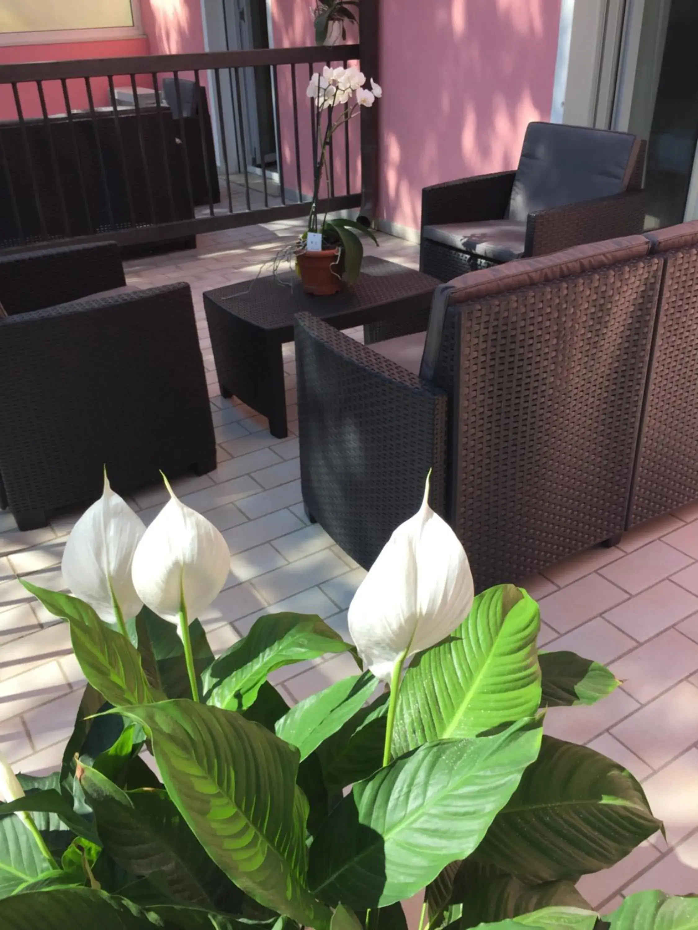 Balcony/Terrace in Hotel Storione