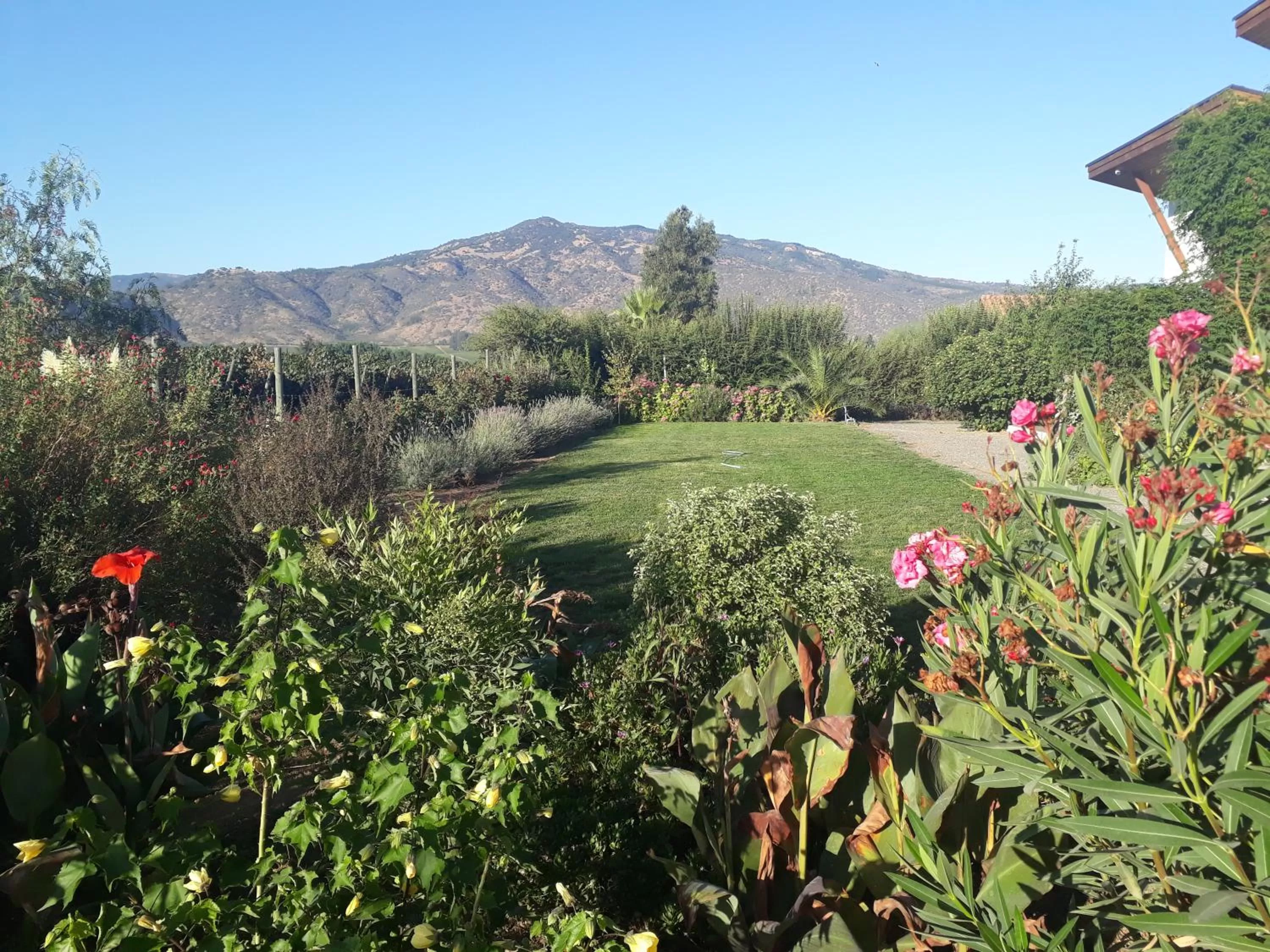 Garden view in Callihue Lodge