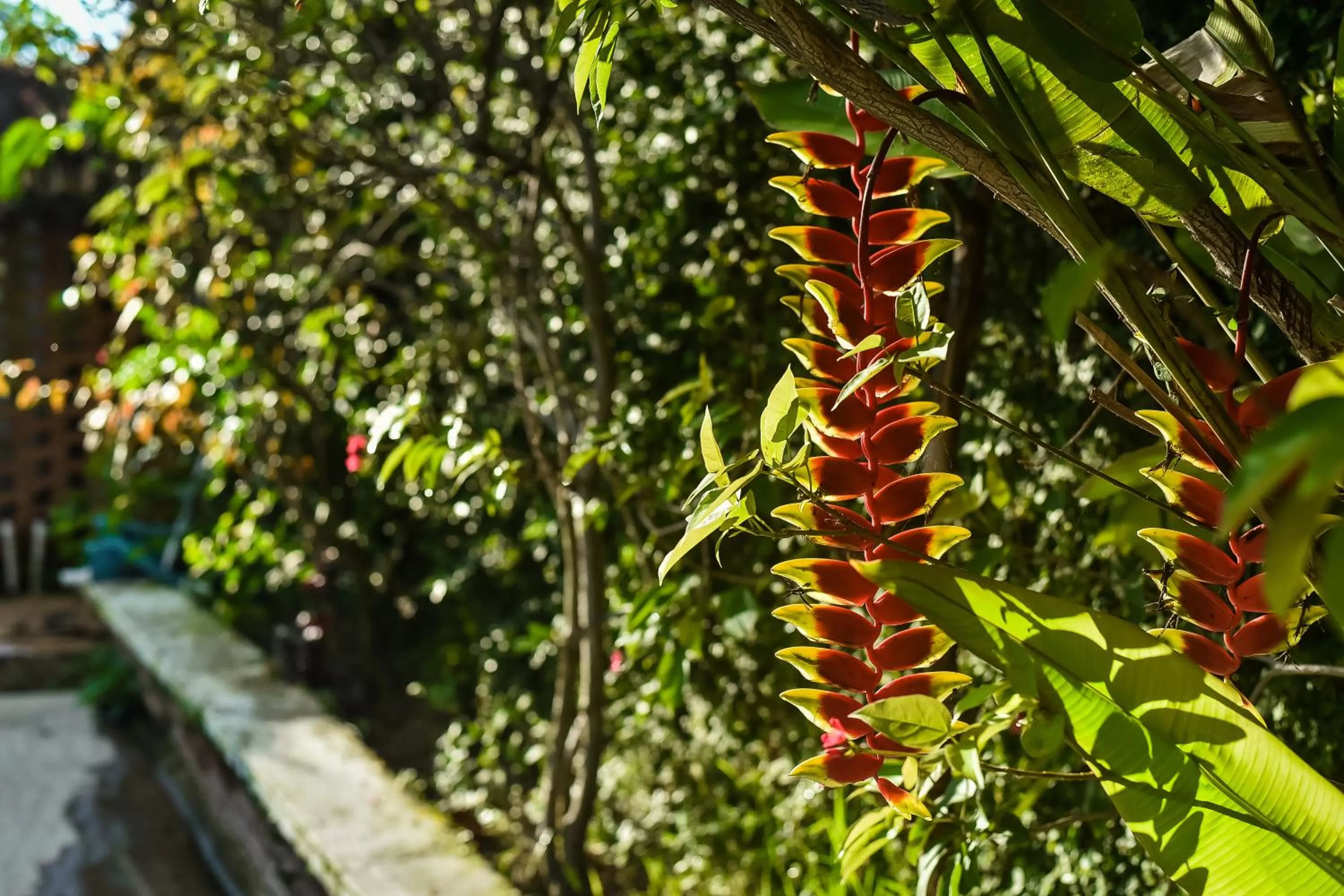 Hosteria Chata Adults Only