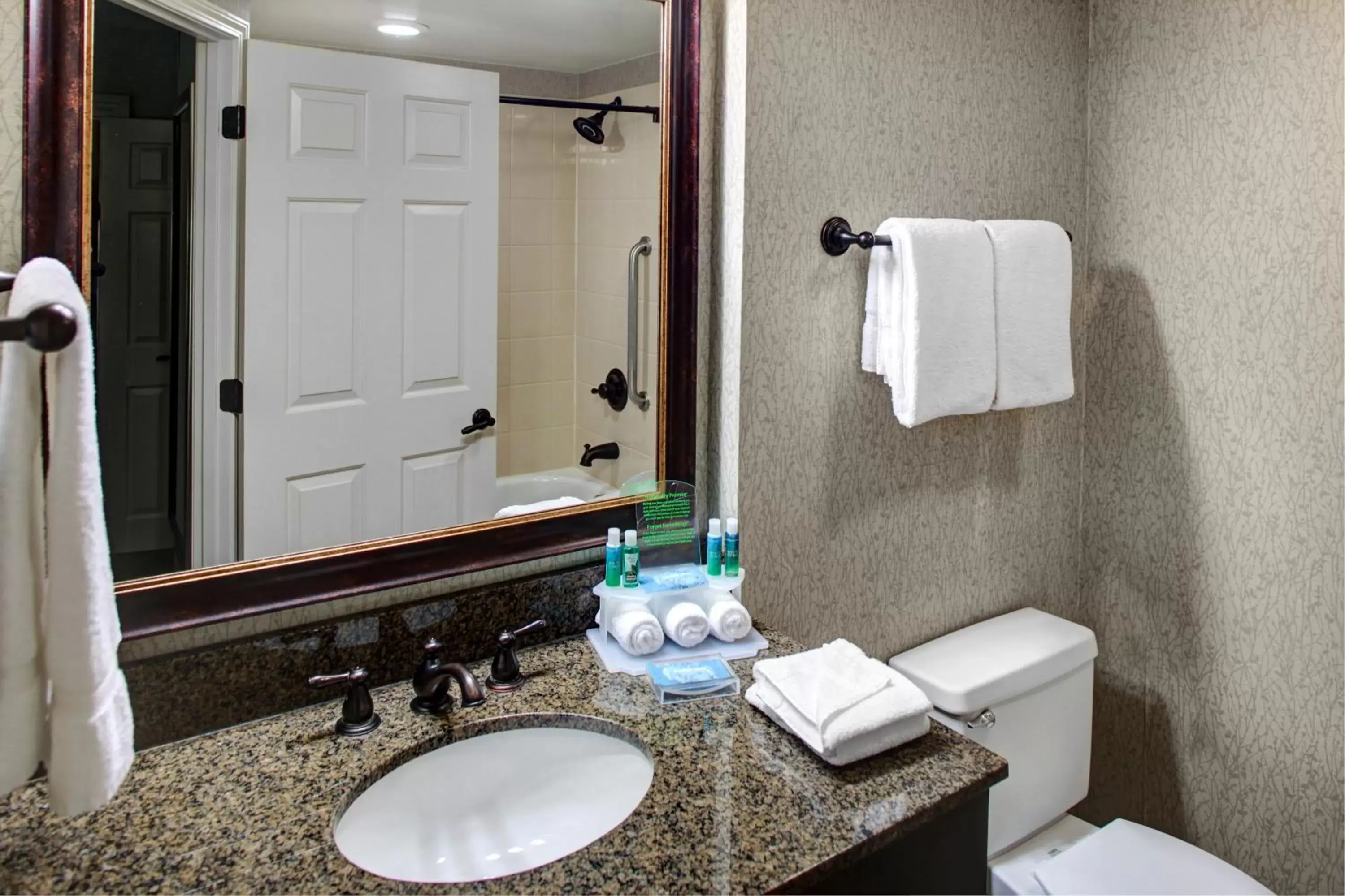 Bathroom in Holiday Inn Express Hotel & Suites Atlanta Buckhead, an IHG Hotel