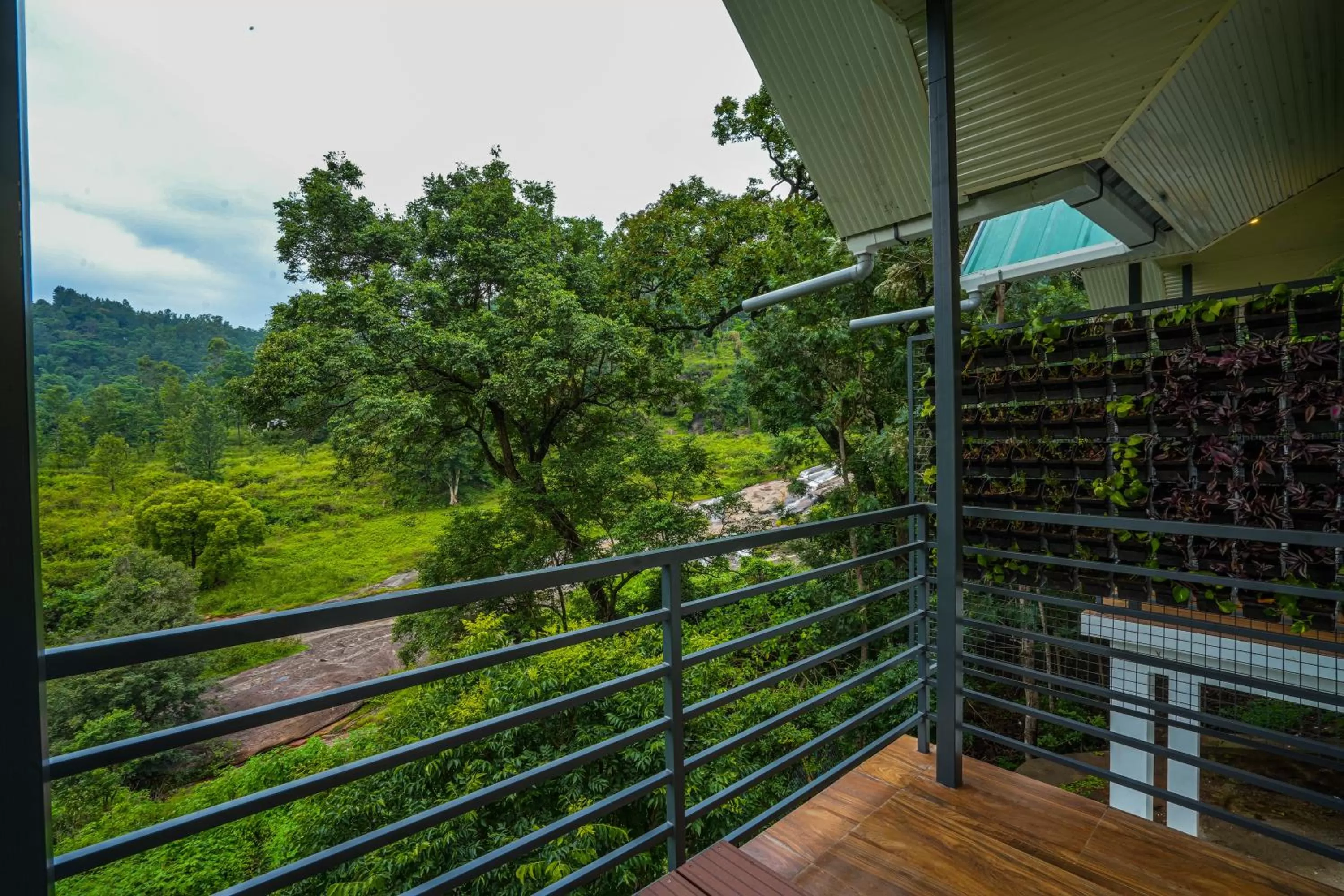 TV and multimedia in Misty Range Resorts