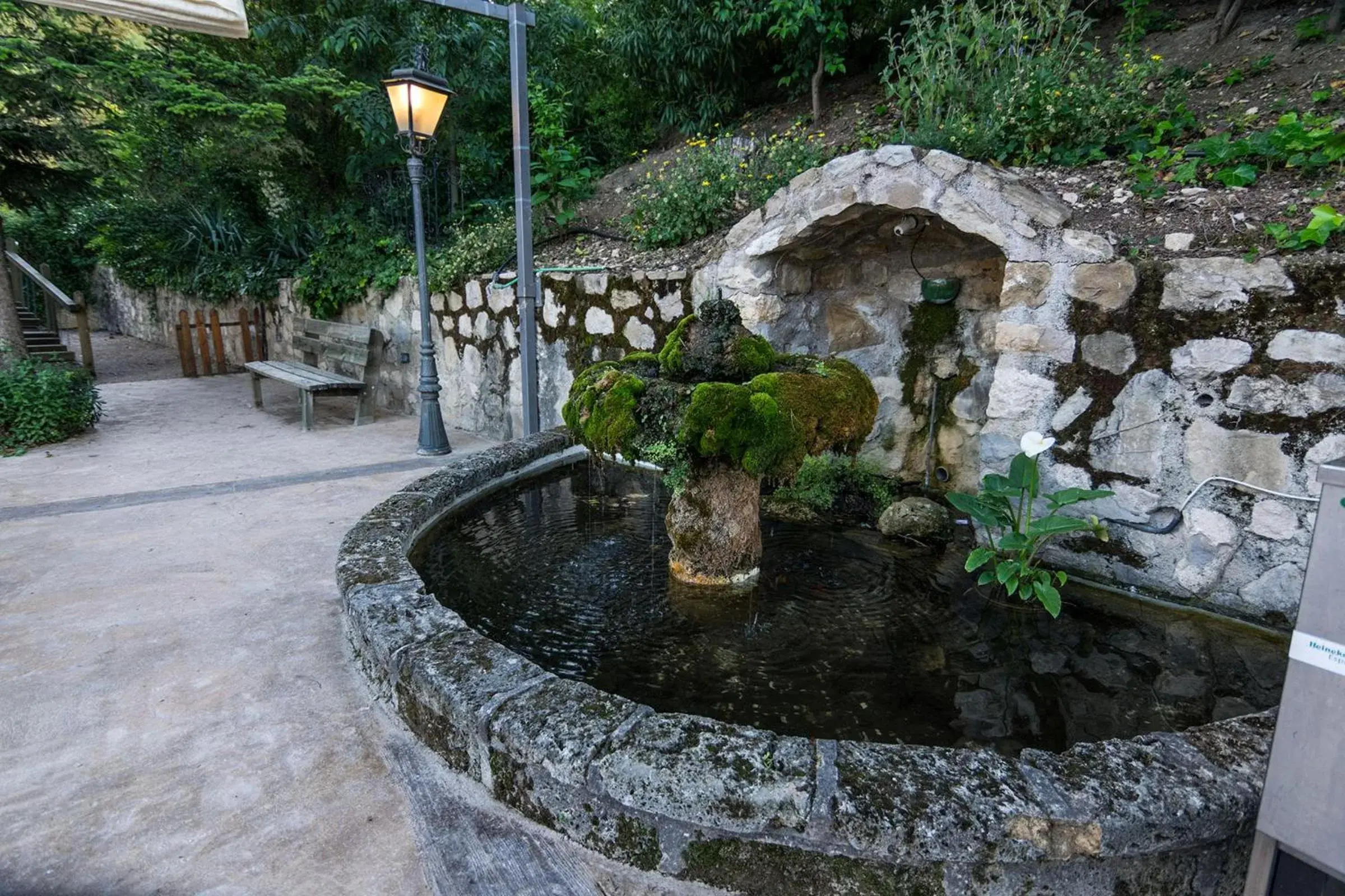 Area and facilities in Villa Turistica de Cazorla