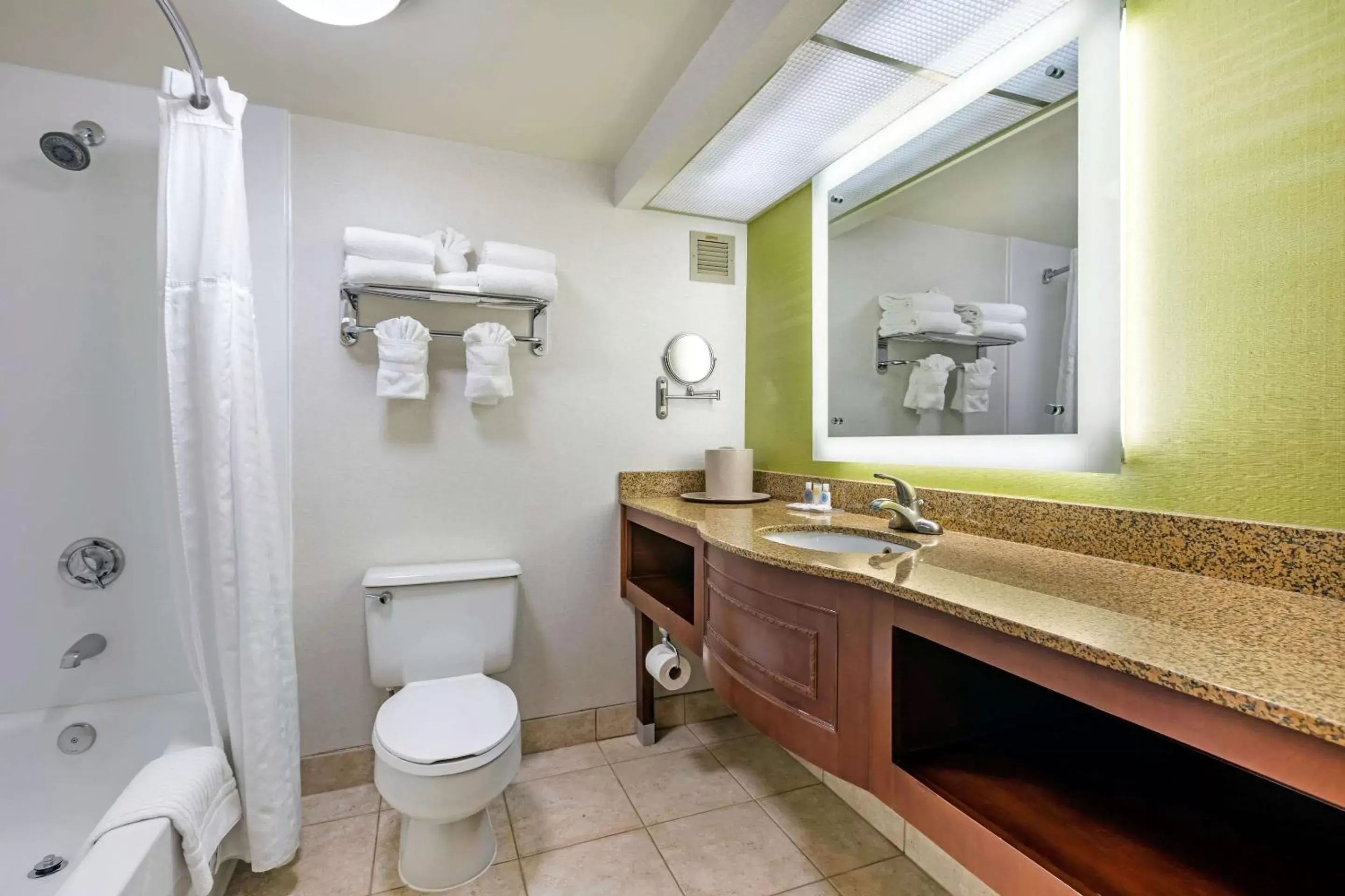 Bathroom in Comfort Inn Anaheim Resort