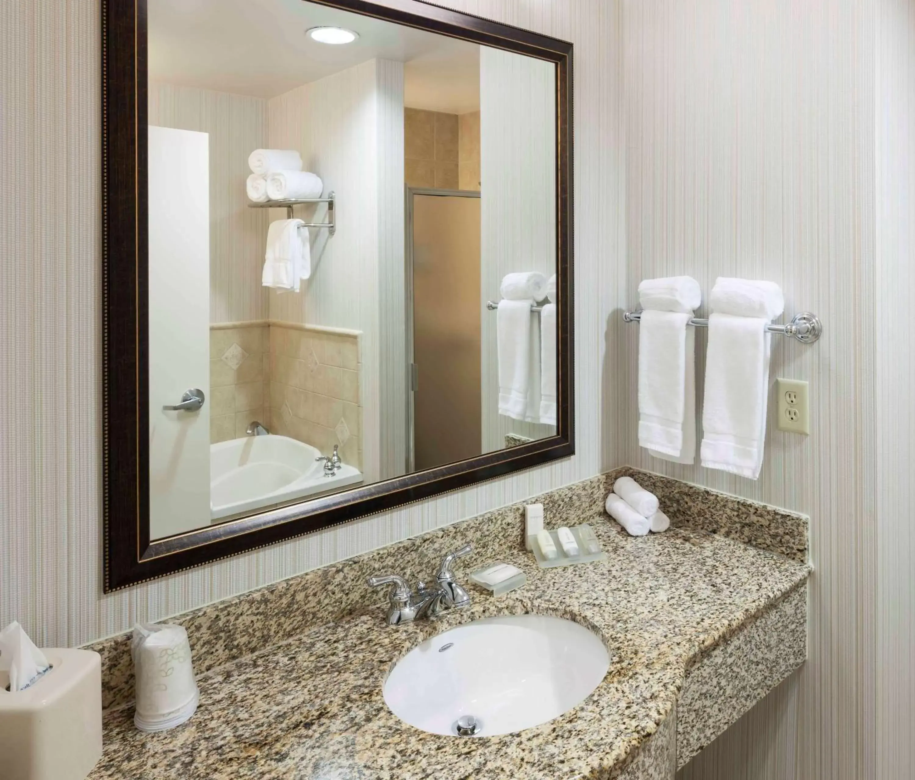 Bathroom in Hilton Garden Inn Dallas Lewisville
