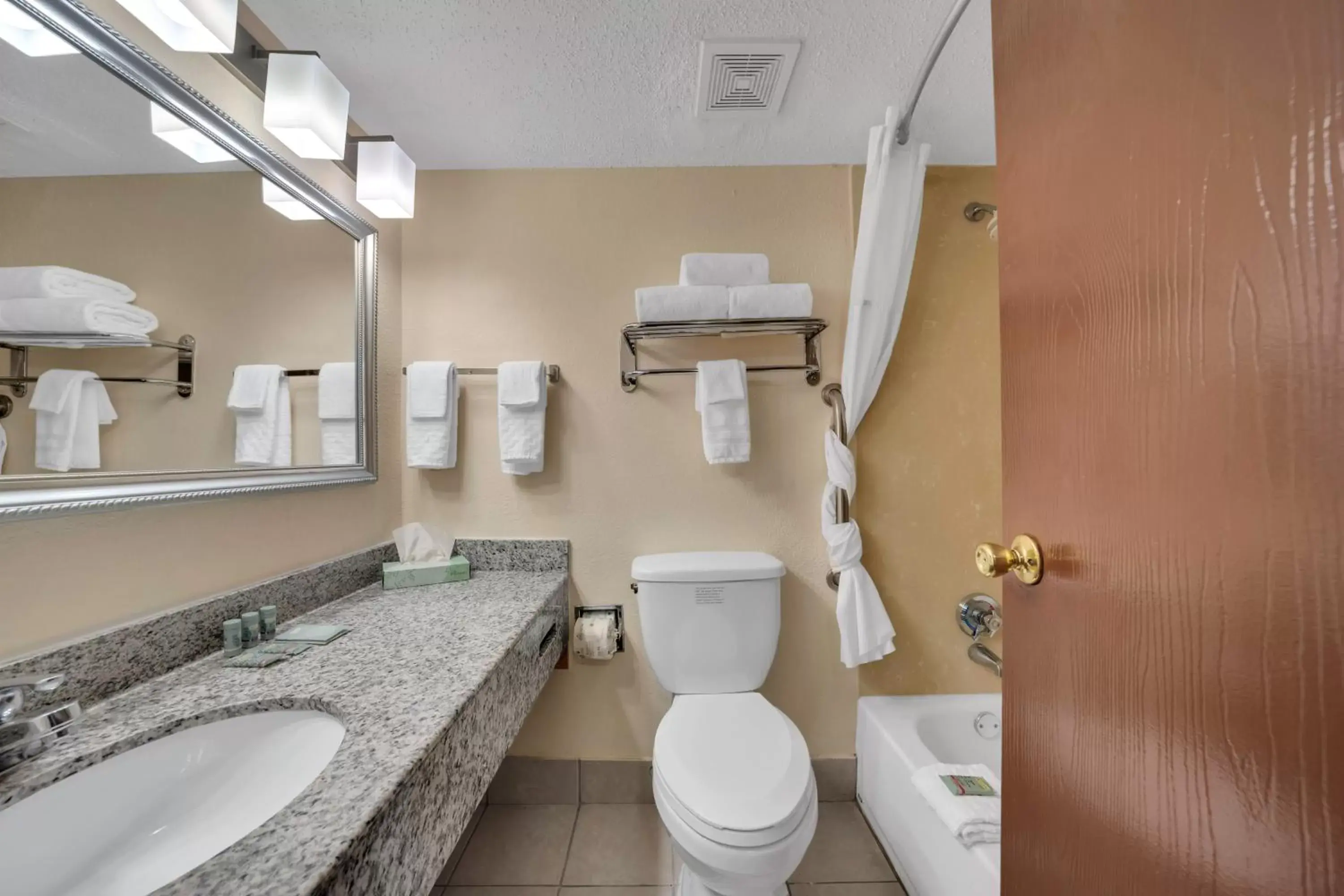 Shower, Bathroom in Best Western Hampton Coliseum Inn
