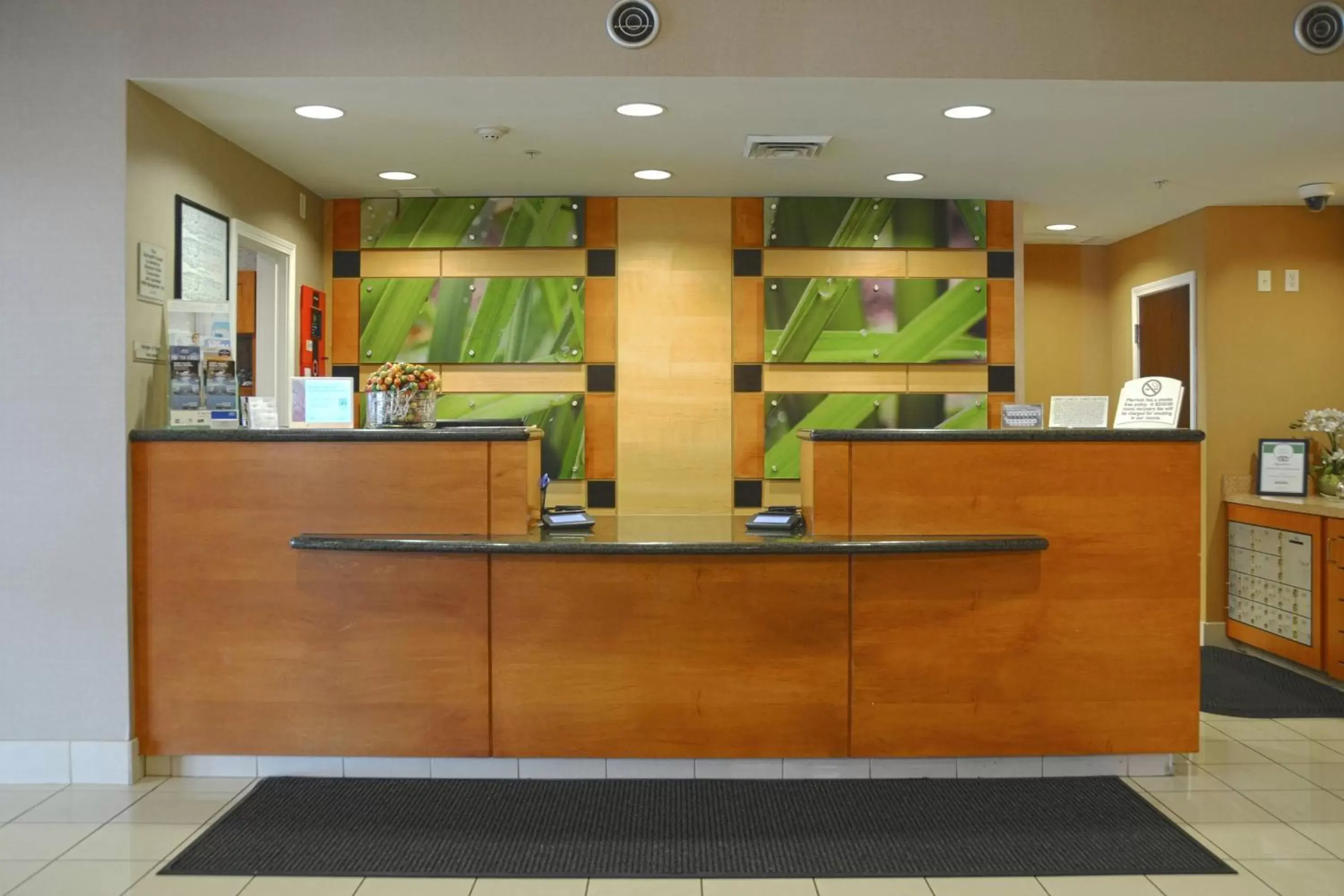 Lobby or reception, Lobby/Reception in SpringHill Suites by Marriott Colorado Springs South