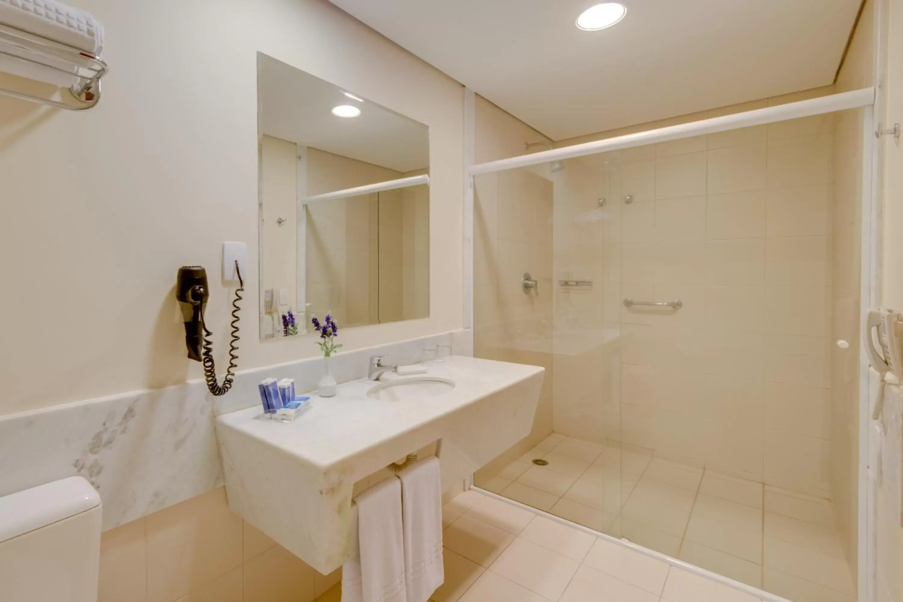 Bedroom, Bathroom in Blue Tree Premium Londrina