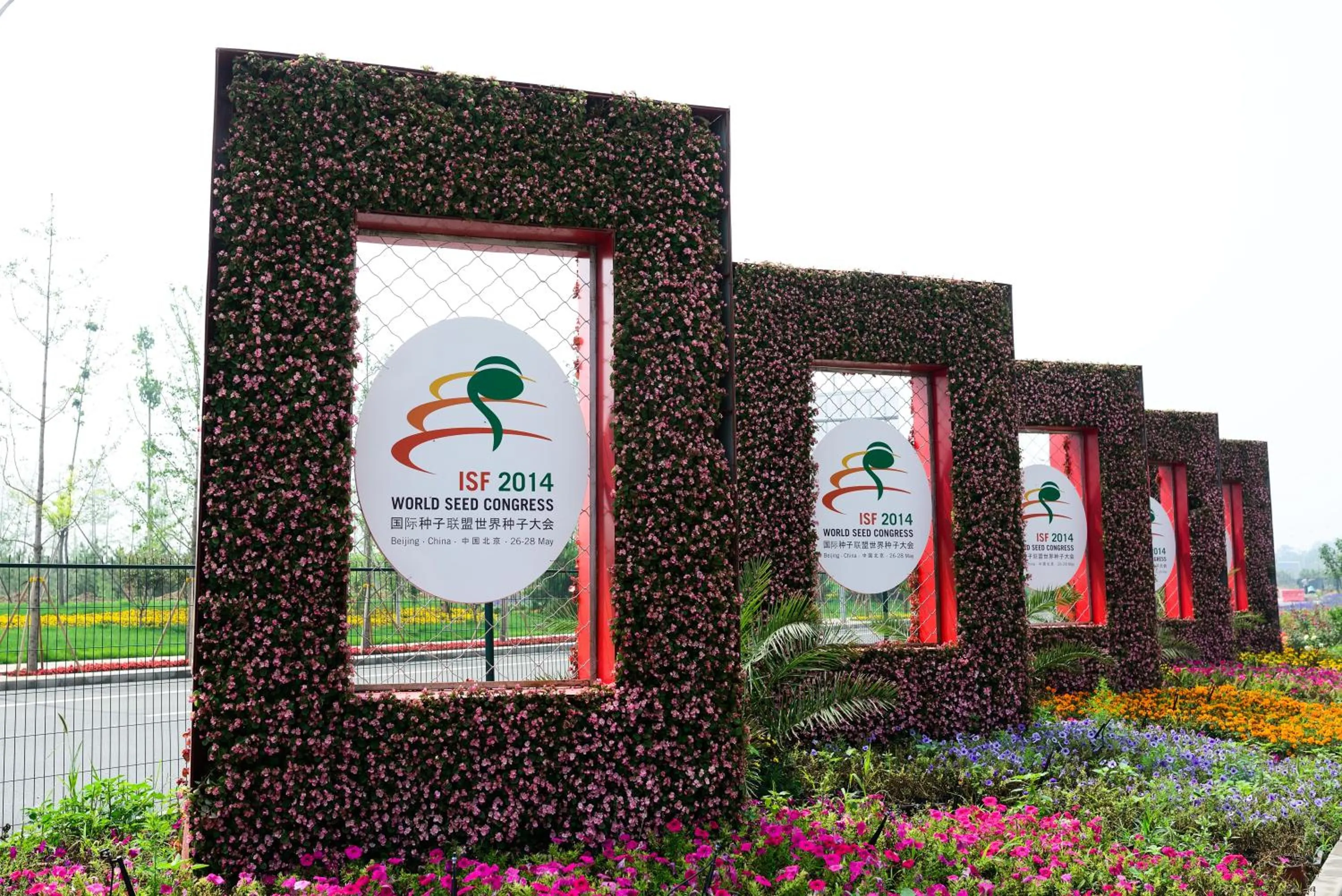 Other in Orient-Anyi international Hotel