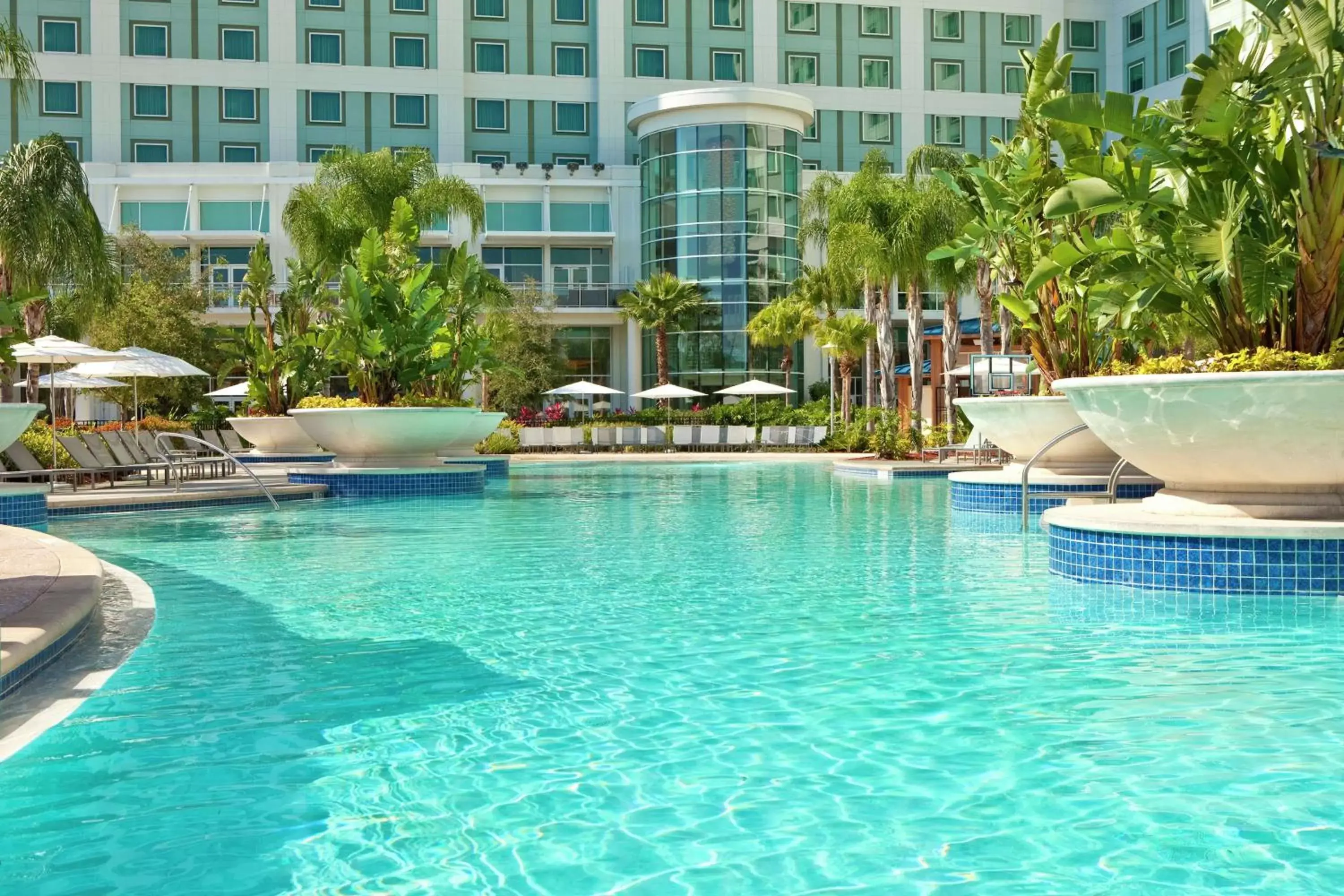 Swimming Pool in Hilton Orlando