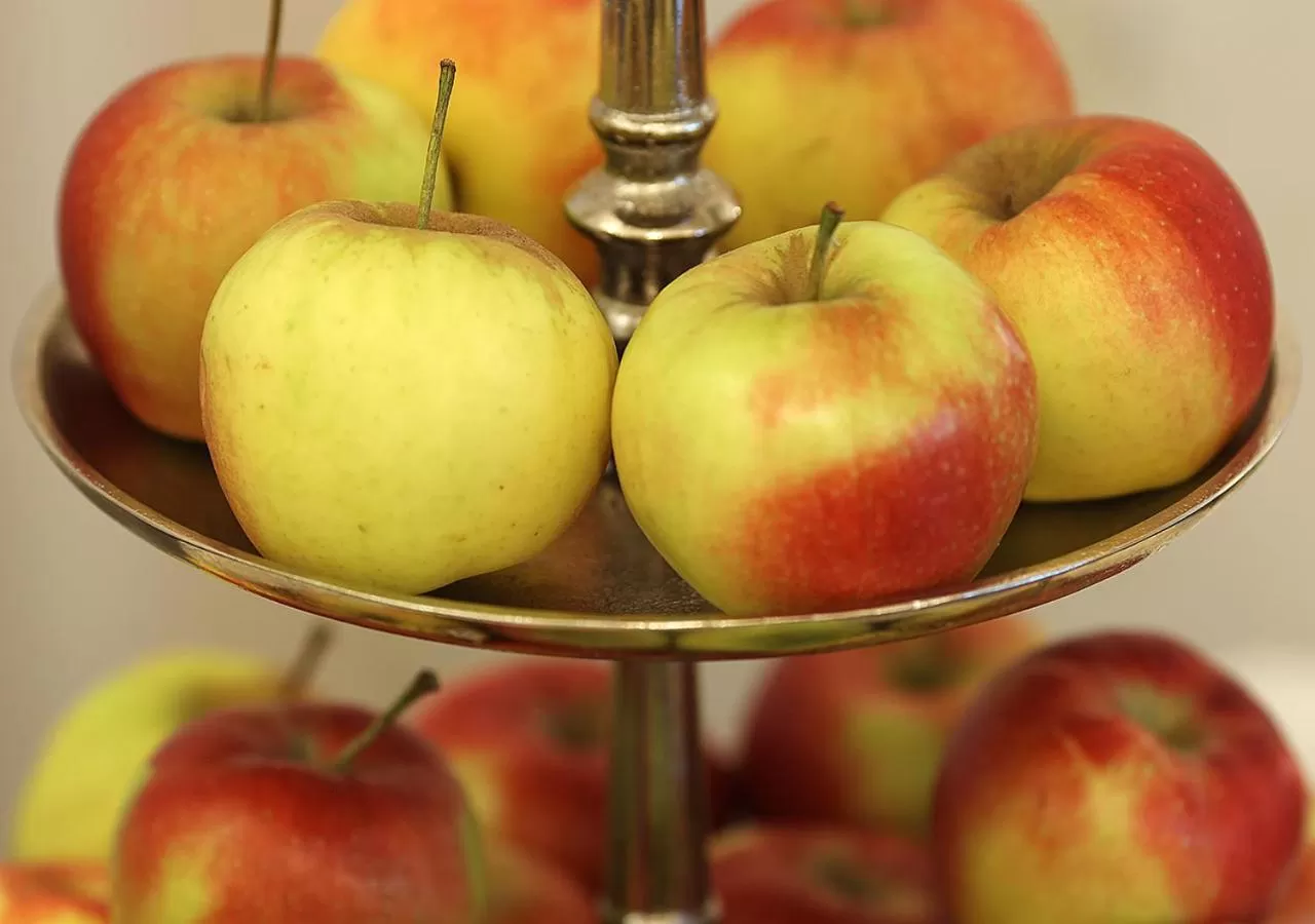 Buffet breakfast in Hotel Brenner