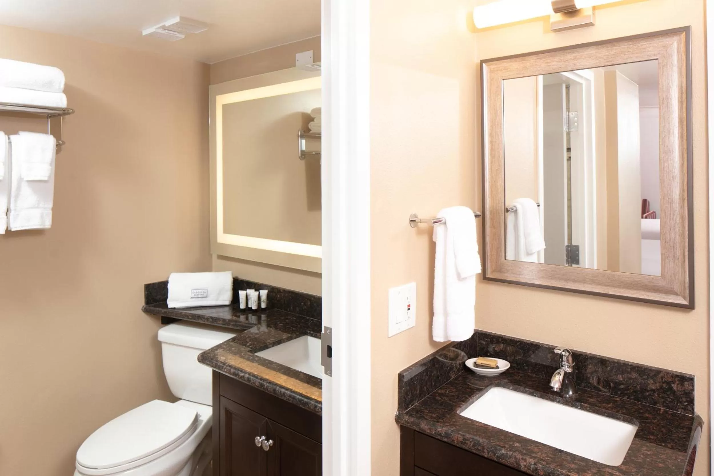 Bathroom in Red Lion Hotel Orlando Lake Buena Vista South- Near Disney