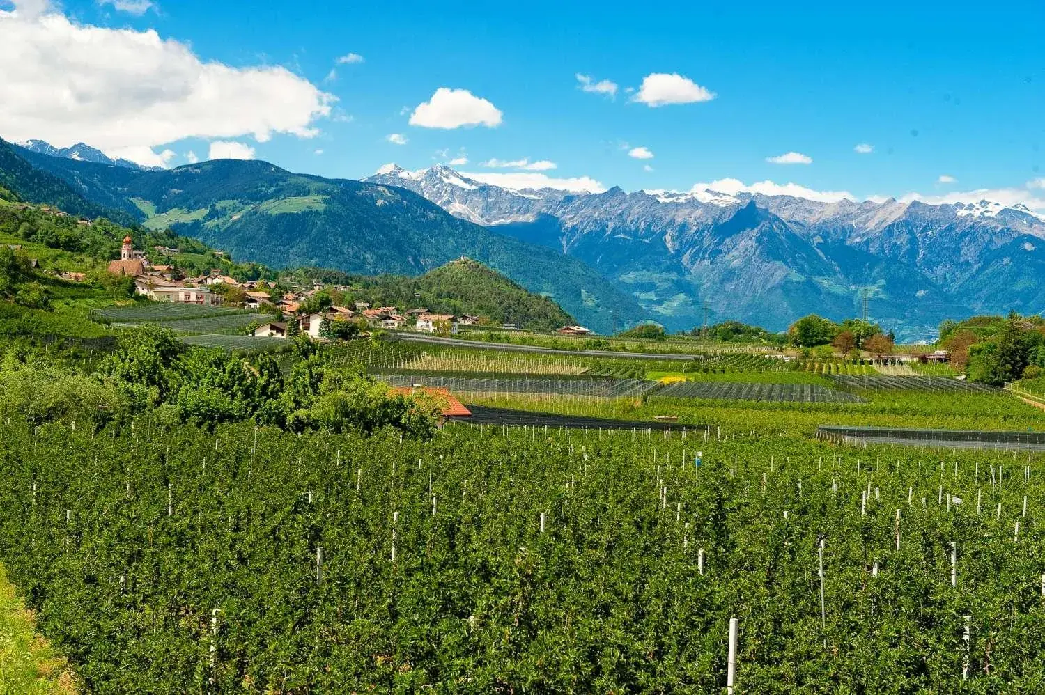 Other, Natural Landscape in Hotel Tirolensis