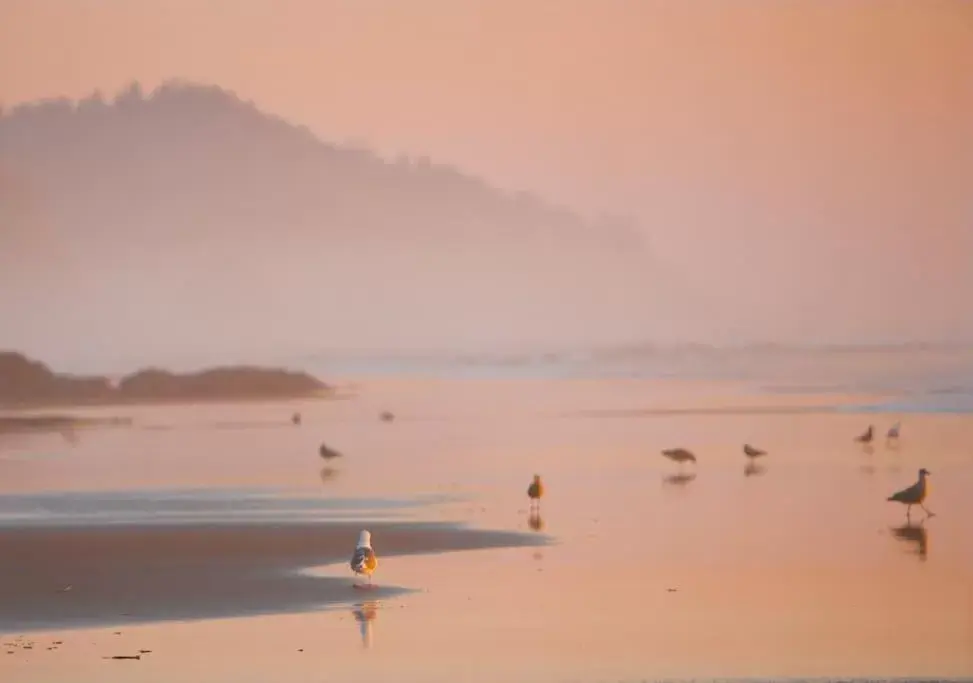 Beach in Arch Cape Inn and Retreat