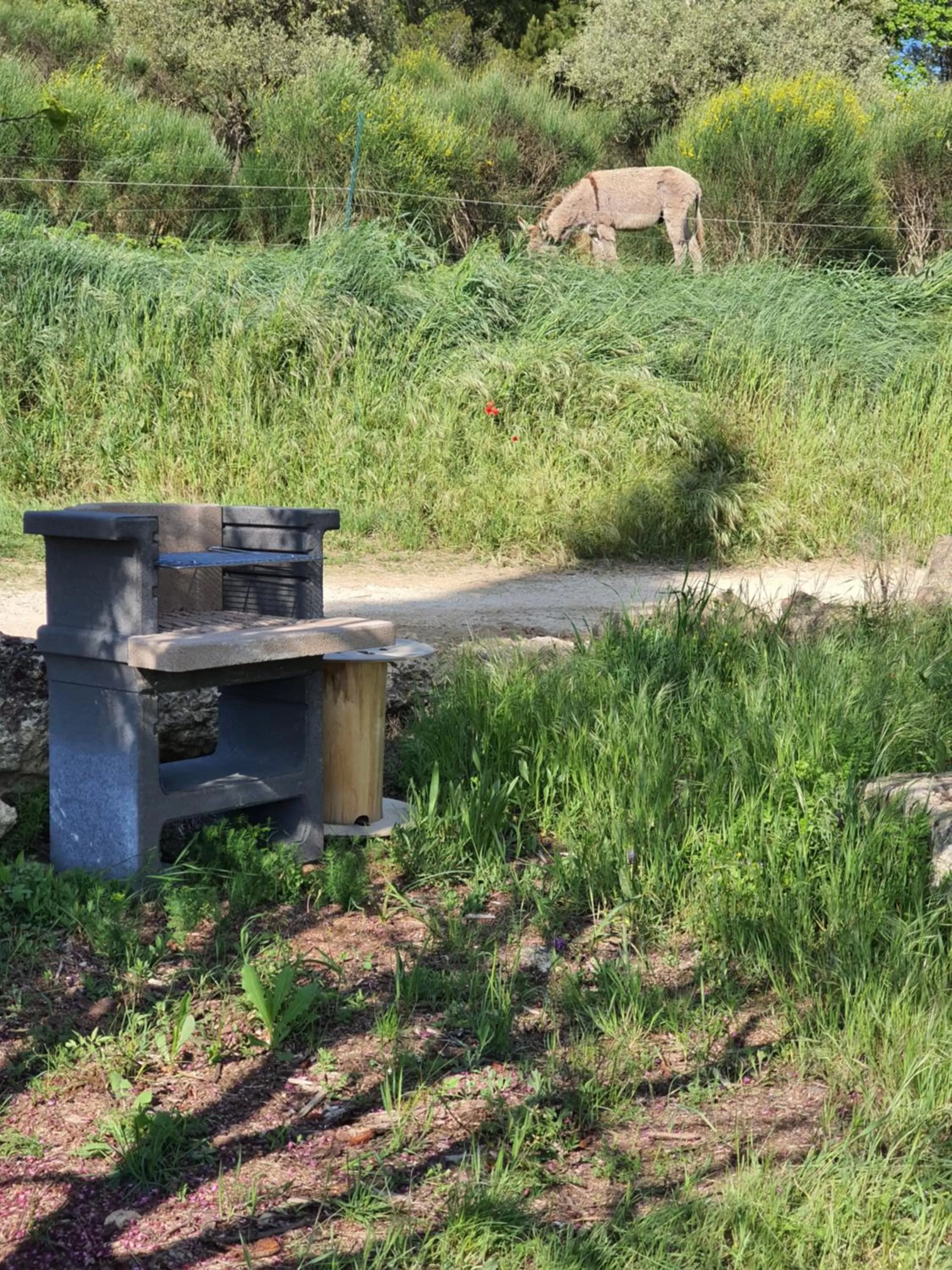 Bastide Bellugue Maison d'hôtes réseau Bienvenue à La Ferme à 3 minutes de Lourmarin