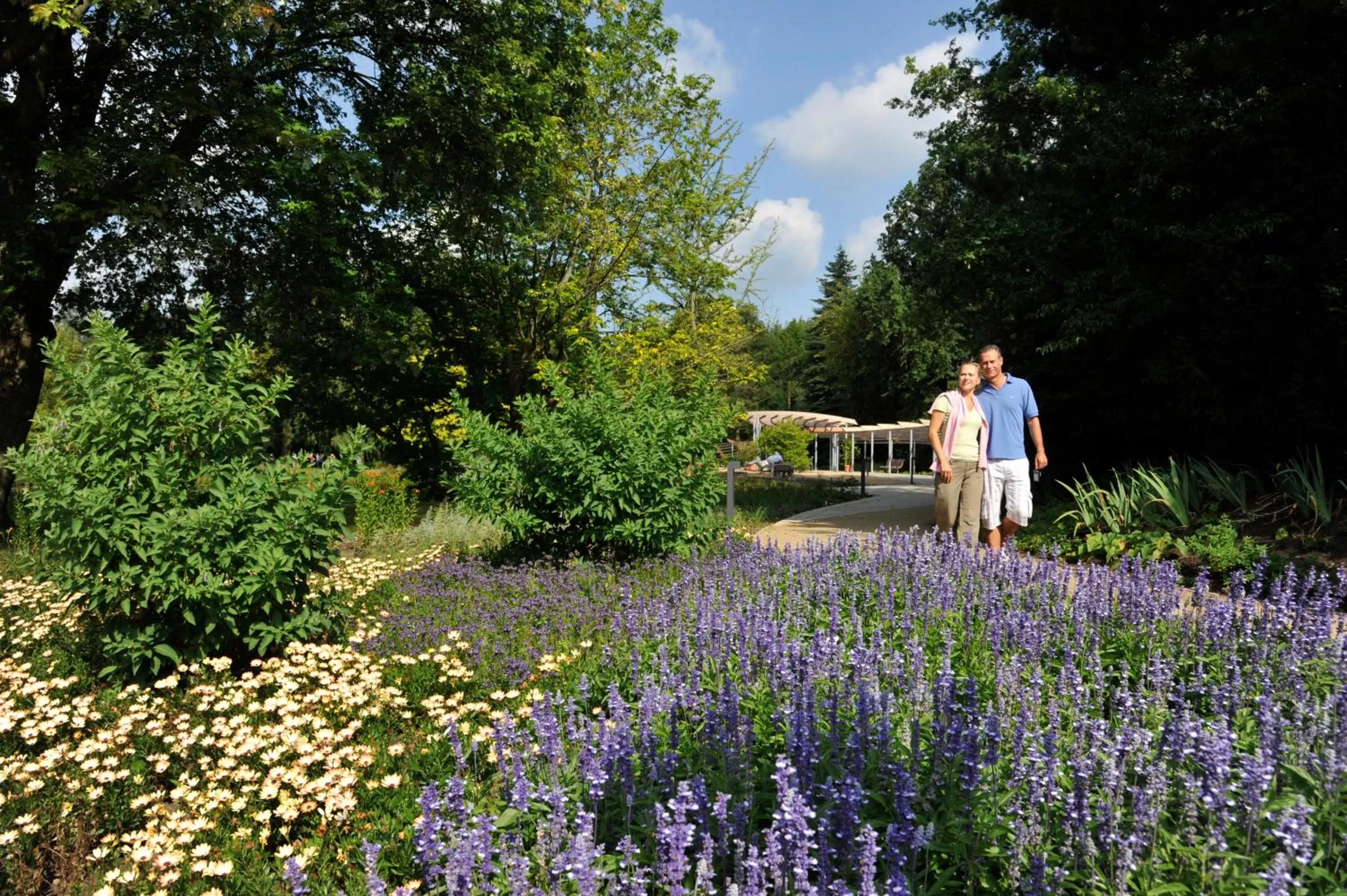 Garden in VitalHotel Ascona