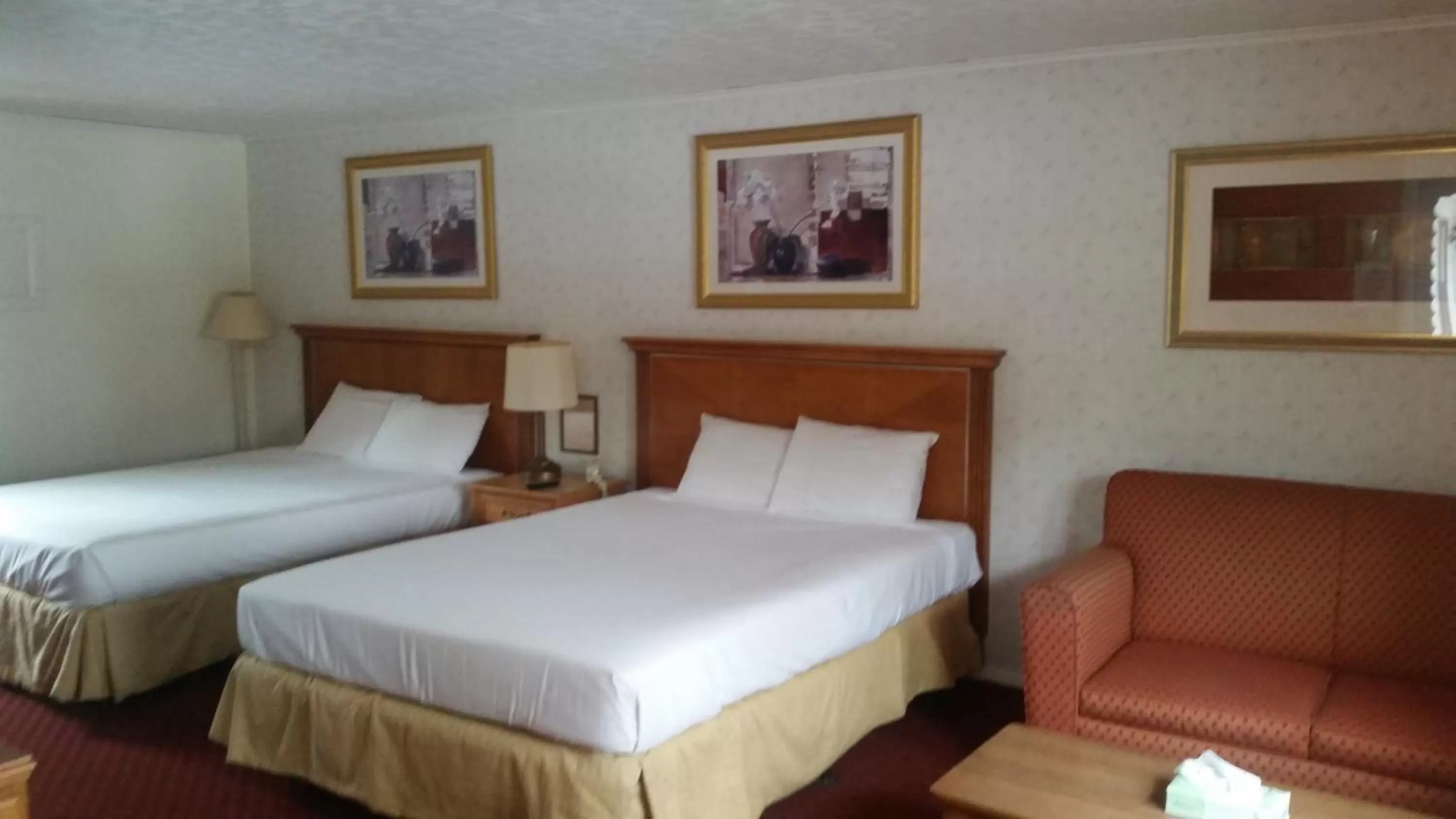 Photo of the whole room, Room Photo in Northside Motel - Williamstown