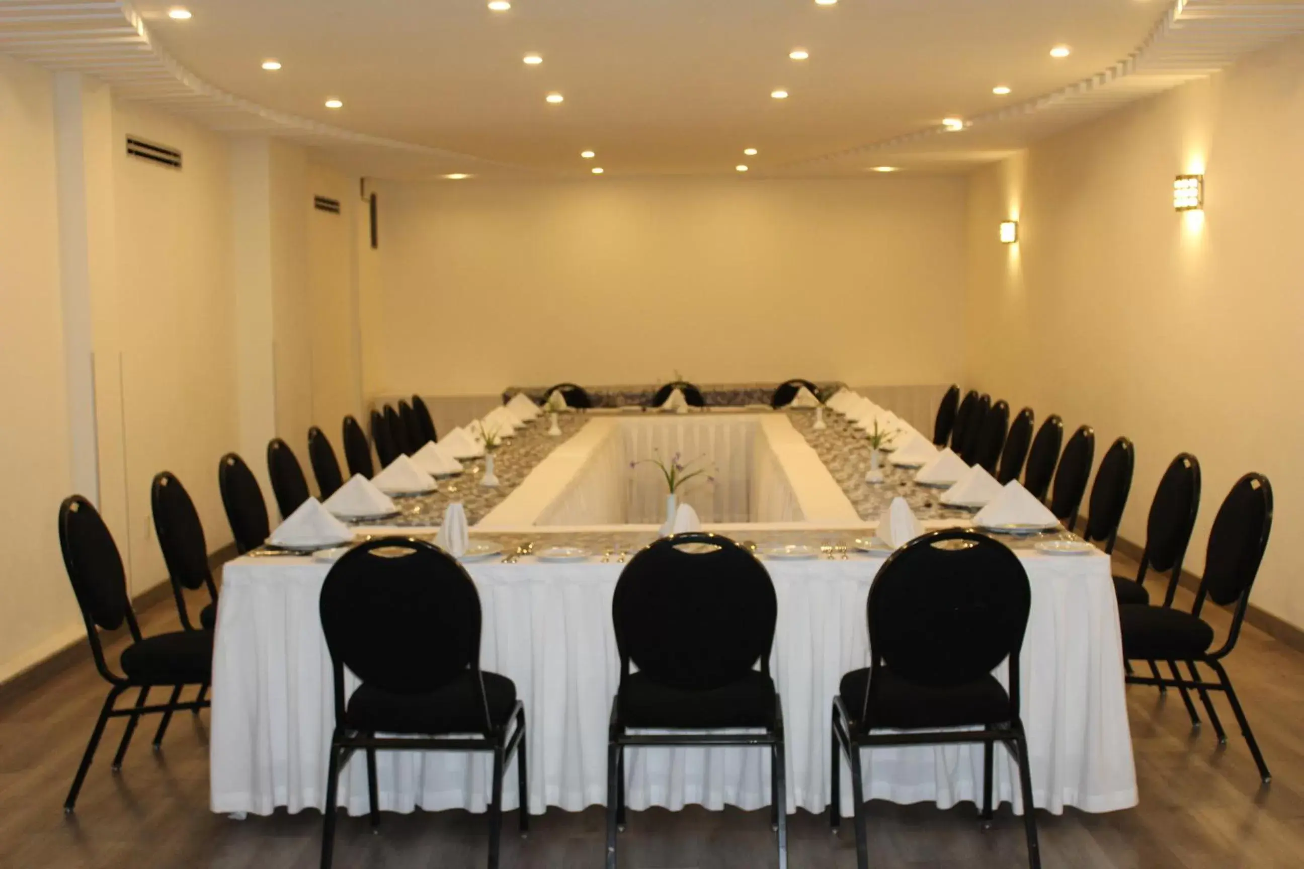 Meeting/conference room in Hotel Ritz Ciudad de México