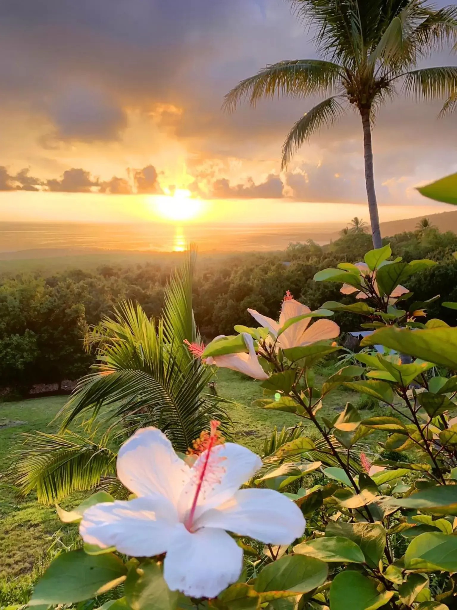 Kona Bayview Inn