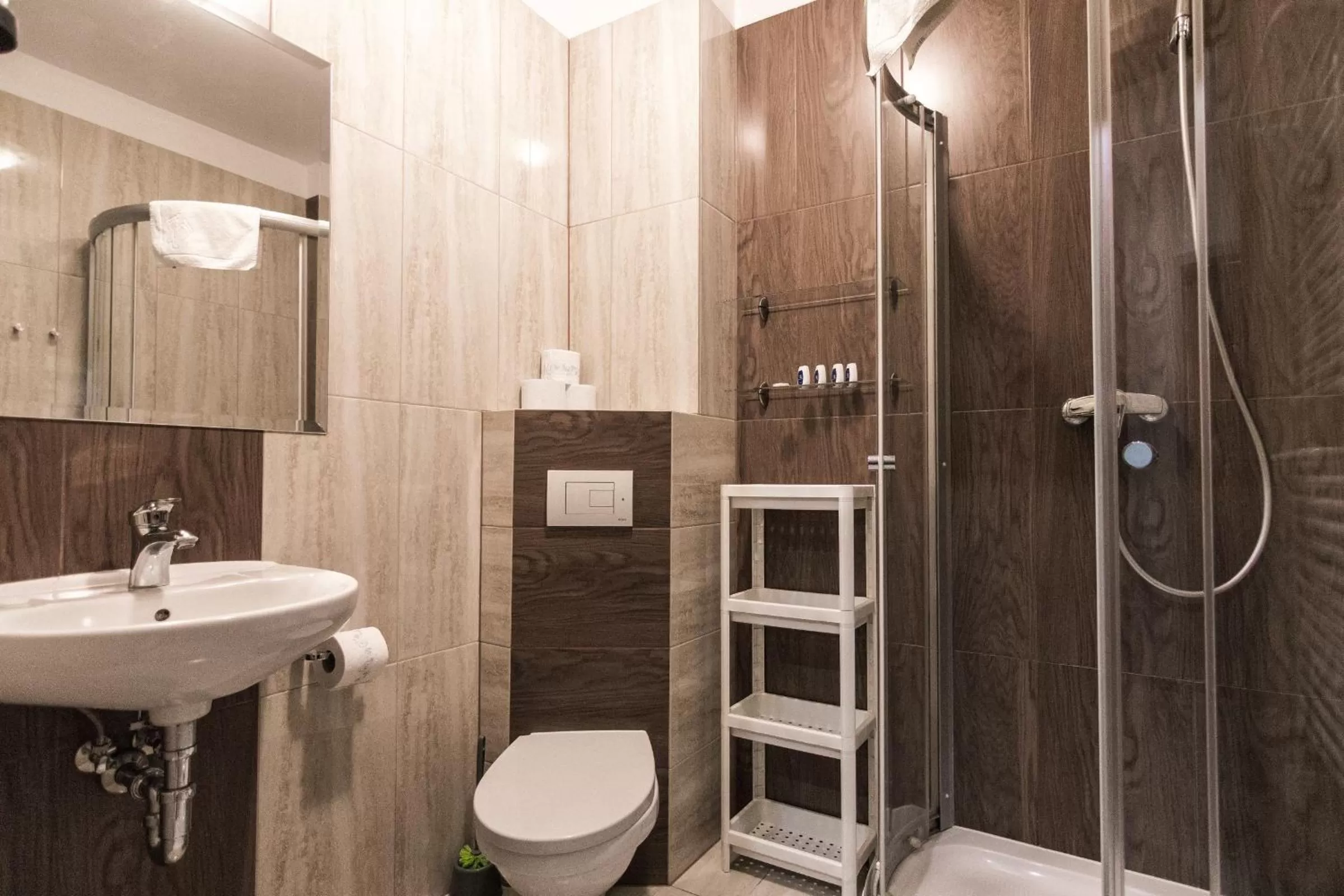 Toilet in Resident Rene